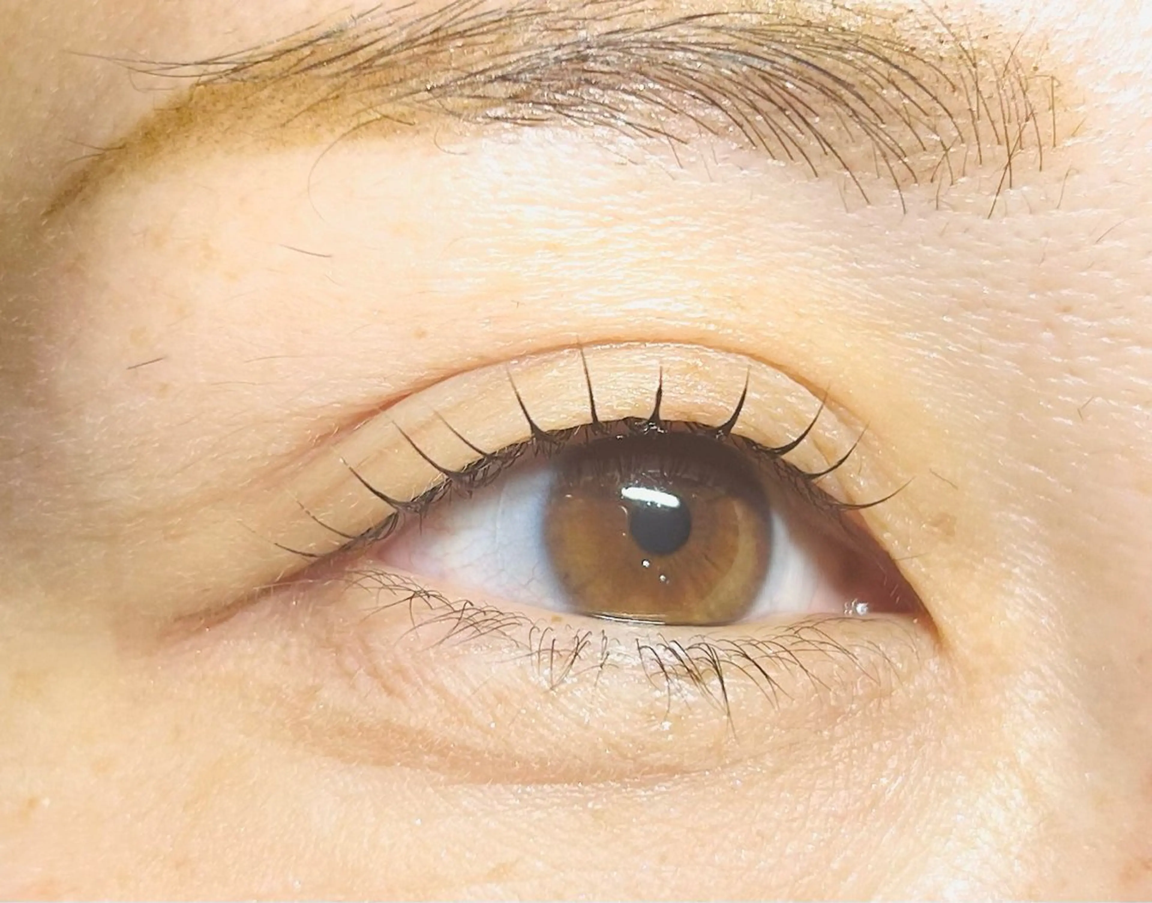 マツエク・マツパ サルサグレイス木更津 クボタのその他イメージ