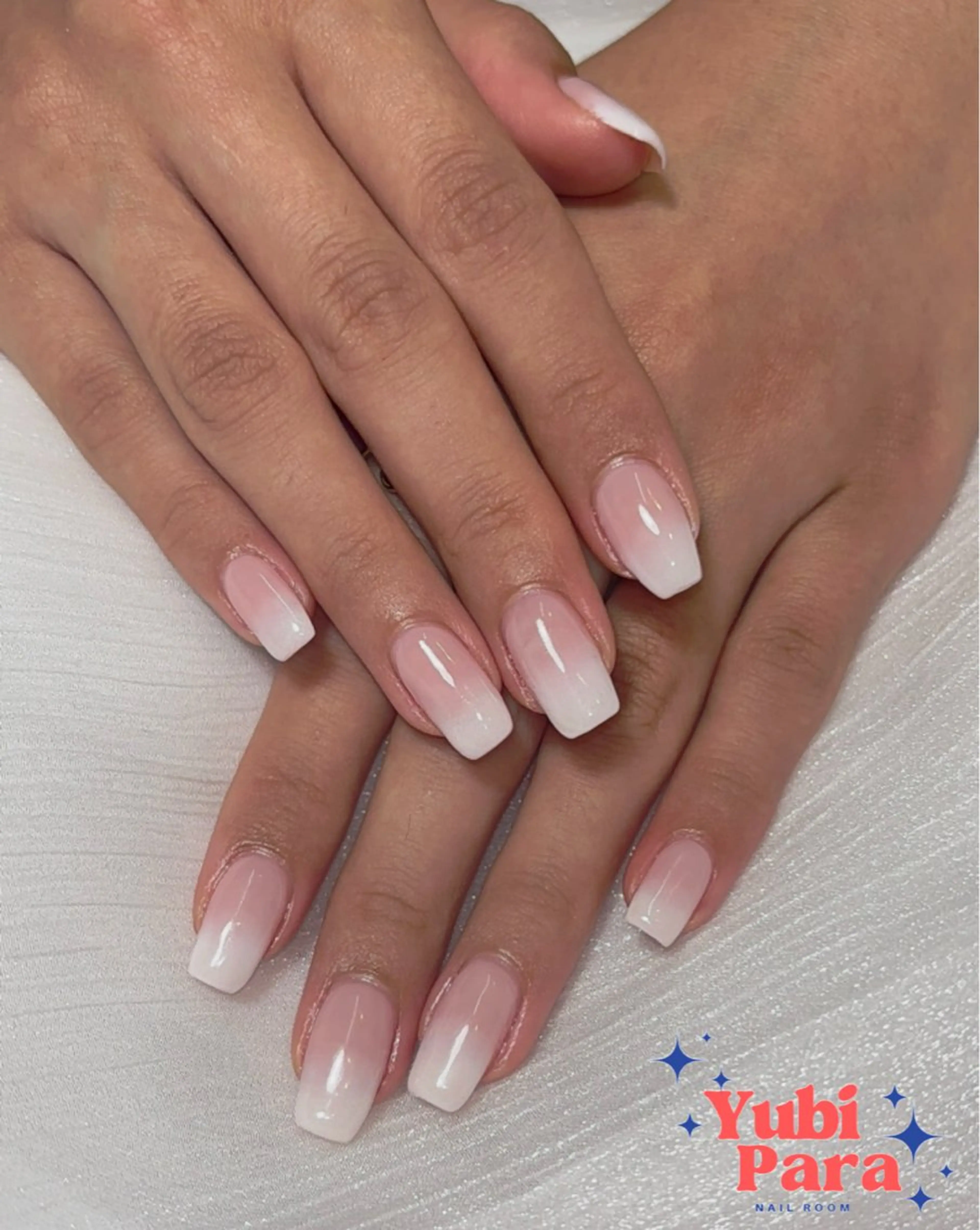 フレンチorベイビーブーマーの写真