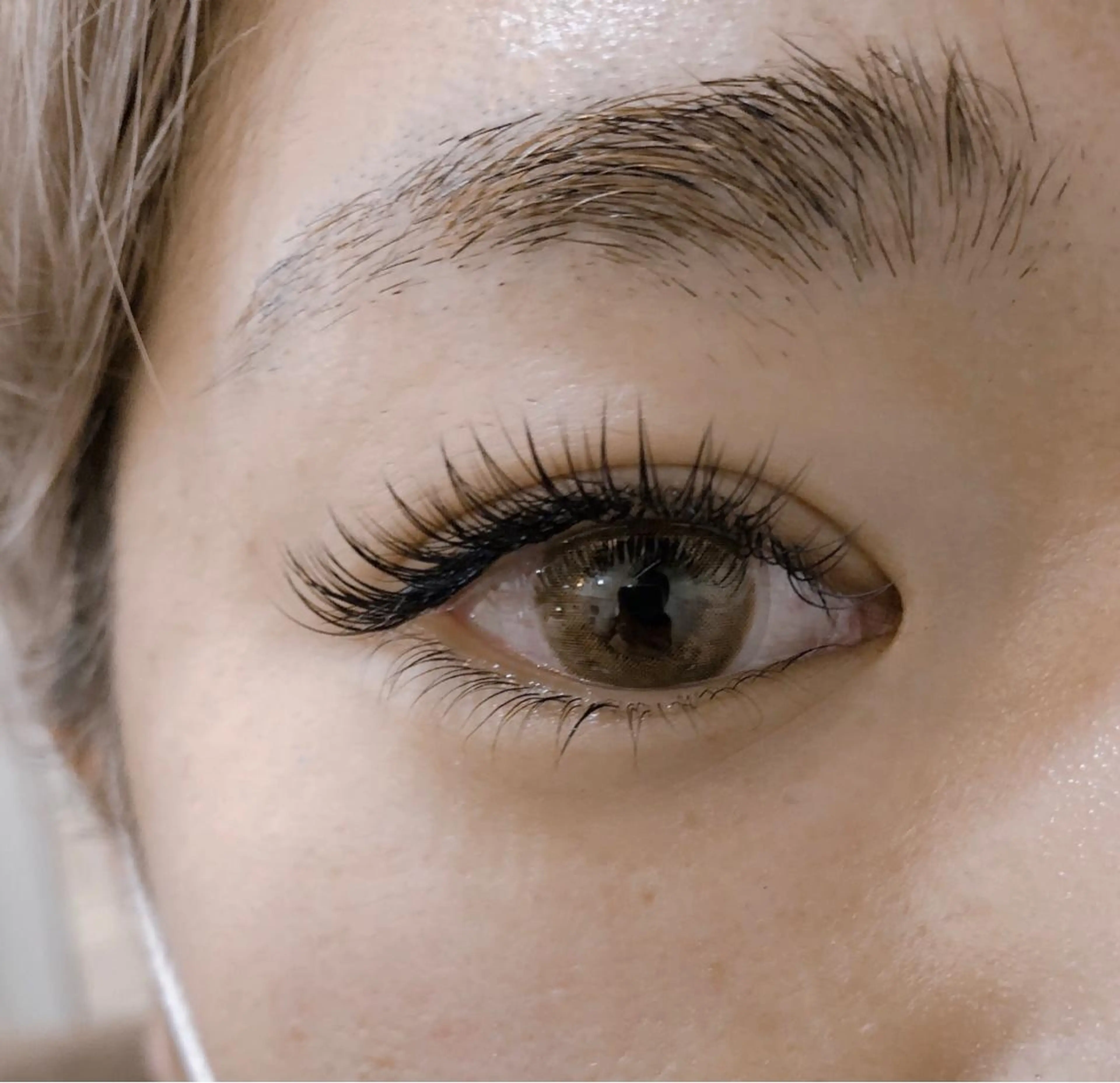 マツエク・マツパ Cカール セーブル 下まつげエクステ LI'A所属・Shihomi Moriのマツエク・マツパデザイン