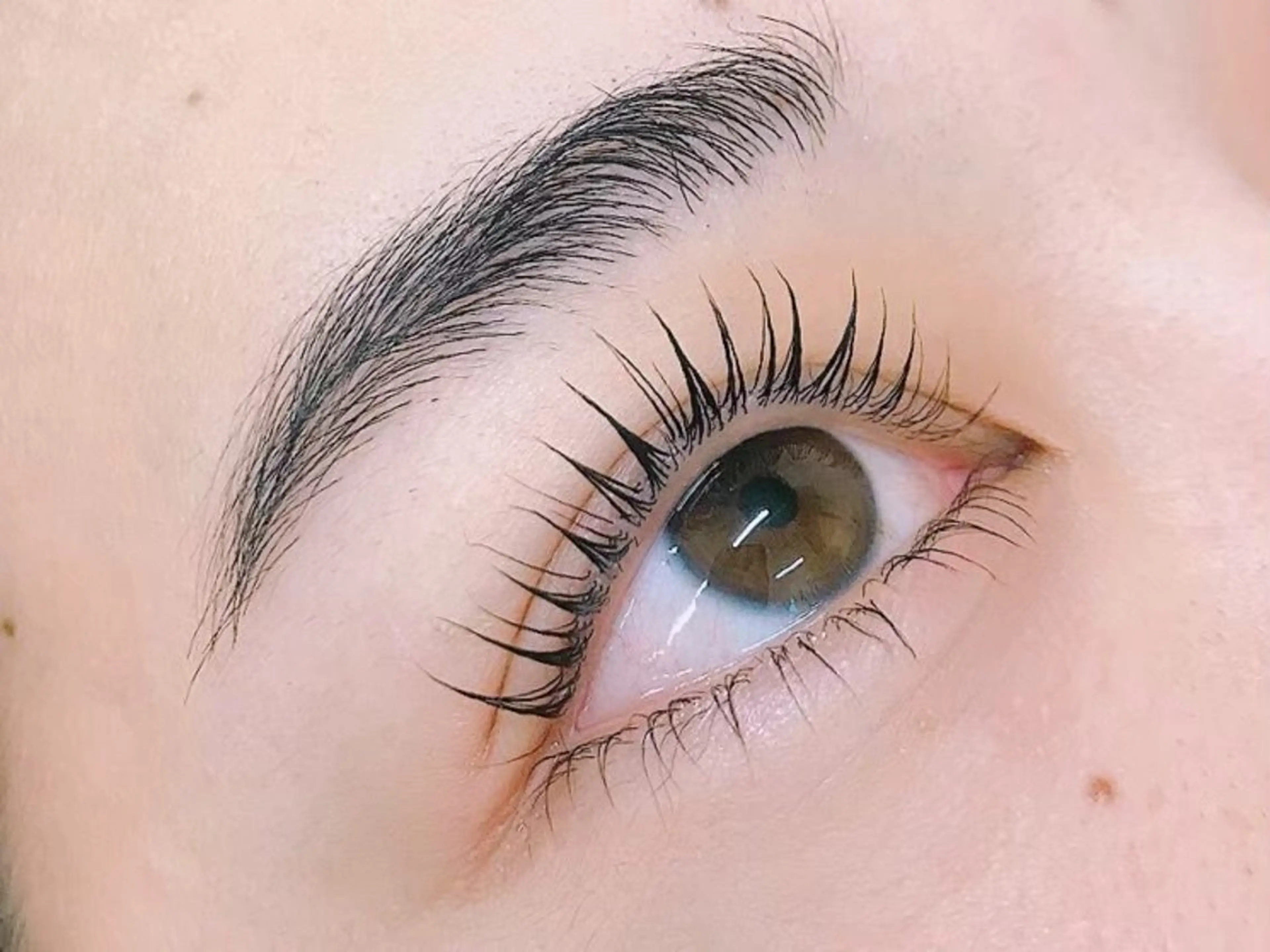 韓国発！SNSで話題⭐️マスカラパーマ👀🎉　\5900　マツパ/新宿/渋谷/韓国の写真