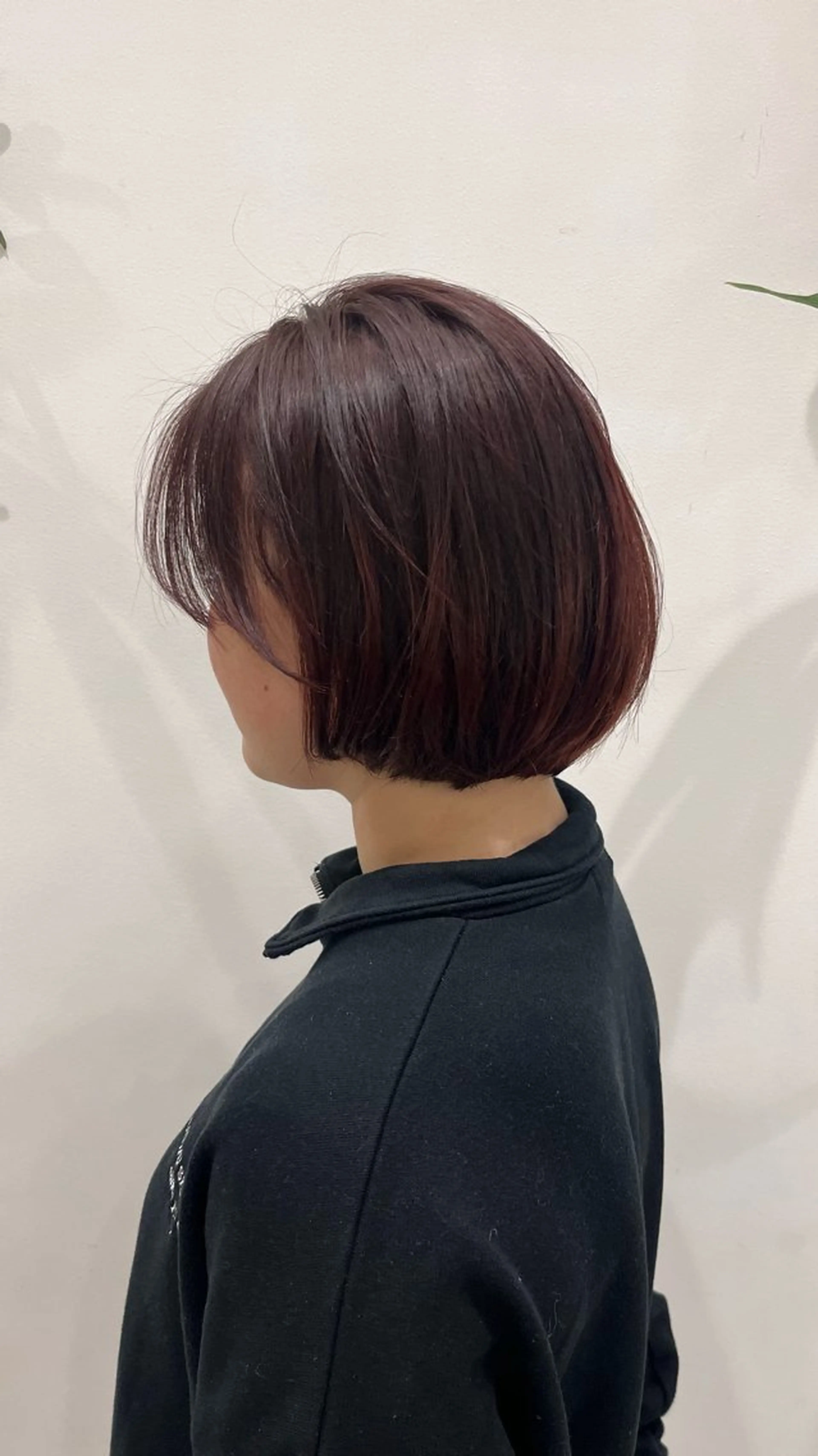 カラー 榊 桜のヘアスタイル