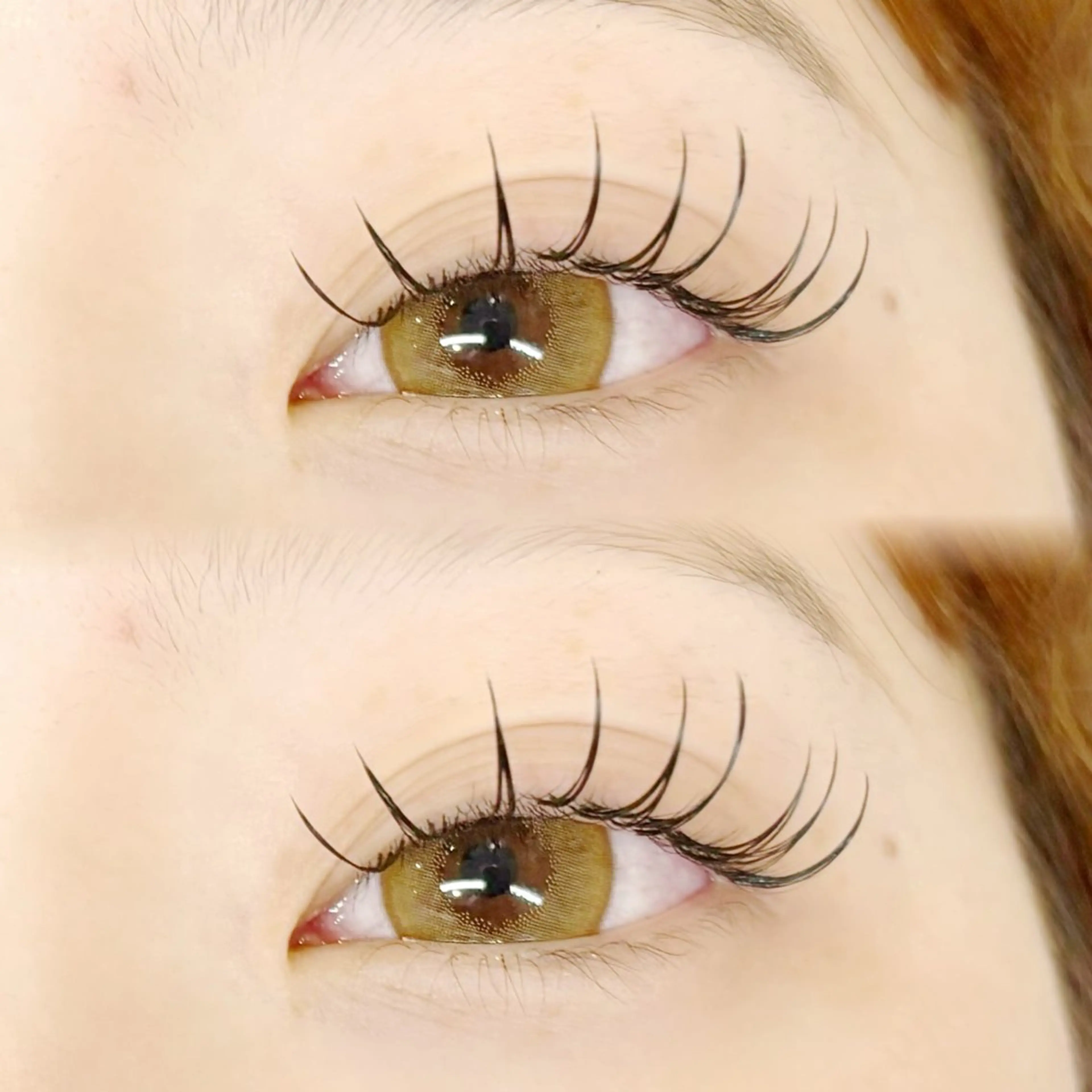 ãããšã¯ã»ããã ãããšã¯ TOP æåŠ»ã®ãããšã¯ã»ããããã¶ã€ã³