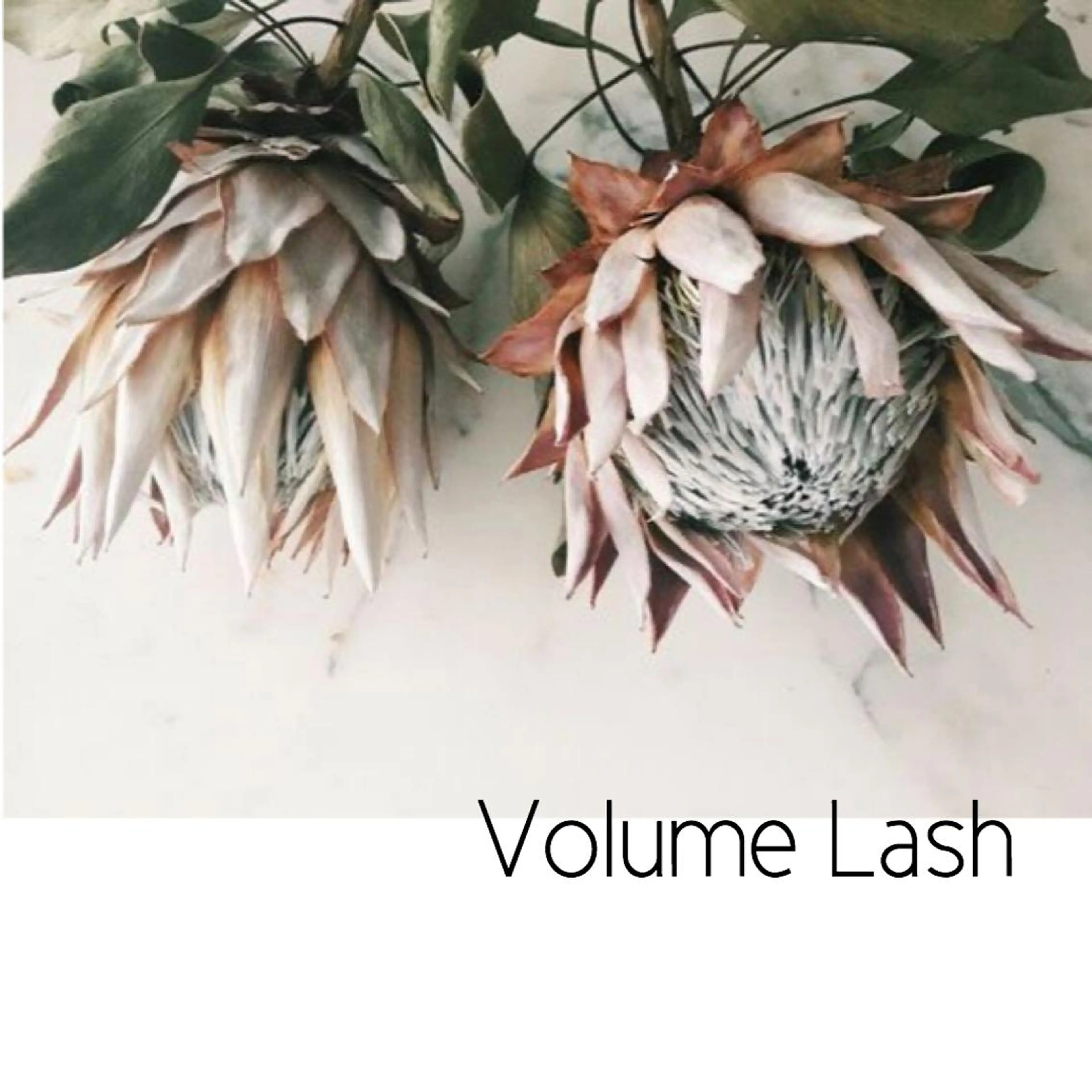 マツエク・マツパ 飯田/Tomo's HairDesignのマツエク・マツパデザイン