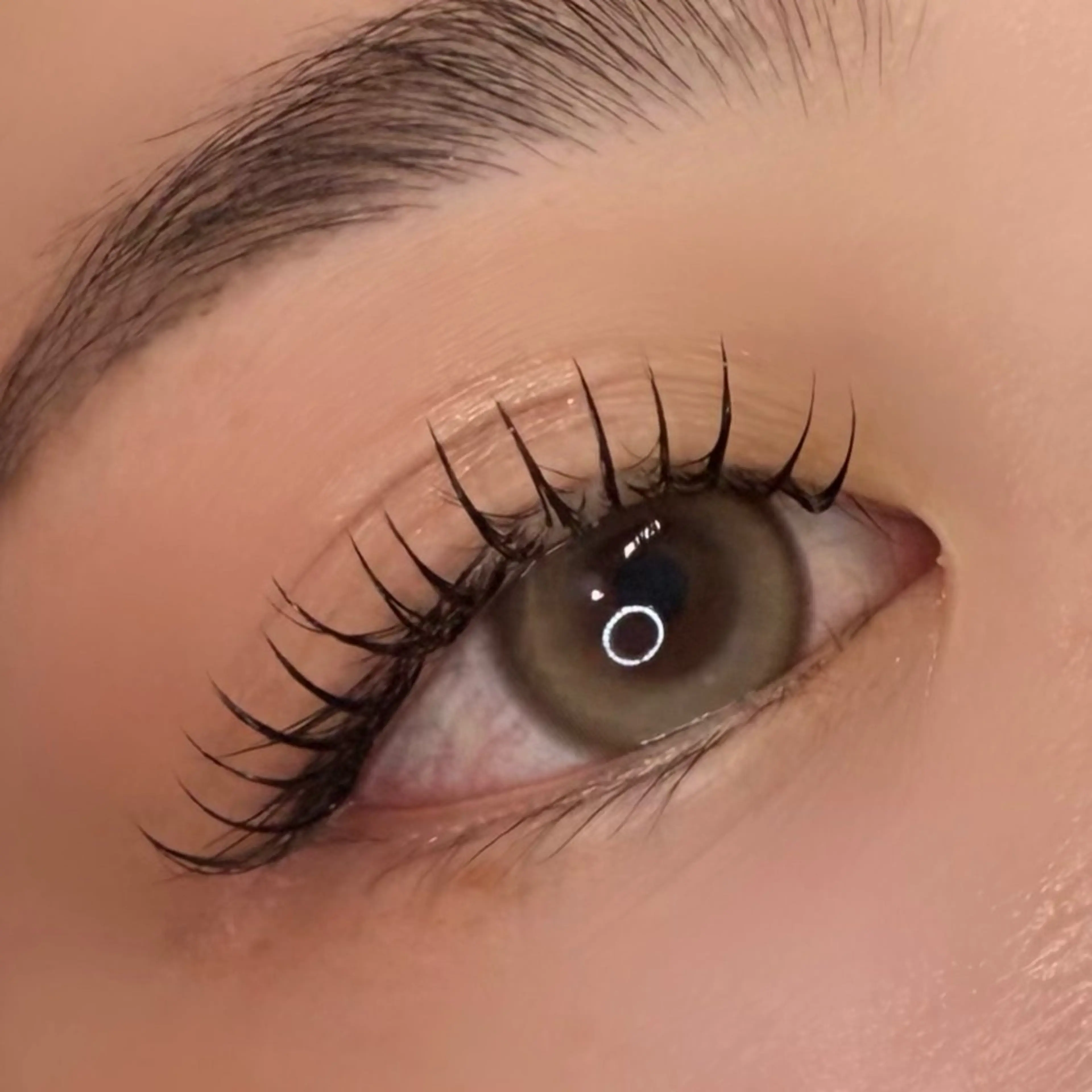 🎀フラットラッシュ90分つけ放題🎀【オフ込み（LEDオフ+¥550）&コーティング付き】（束感仕上げ可能🉑）の写真