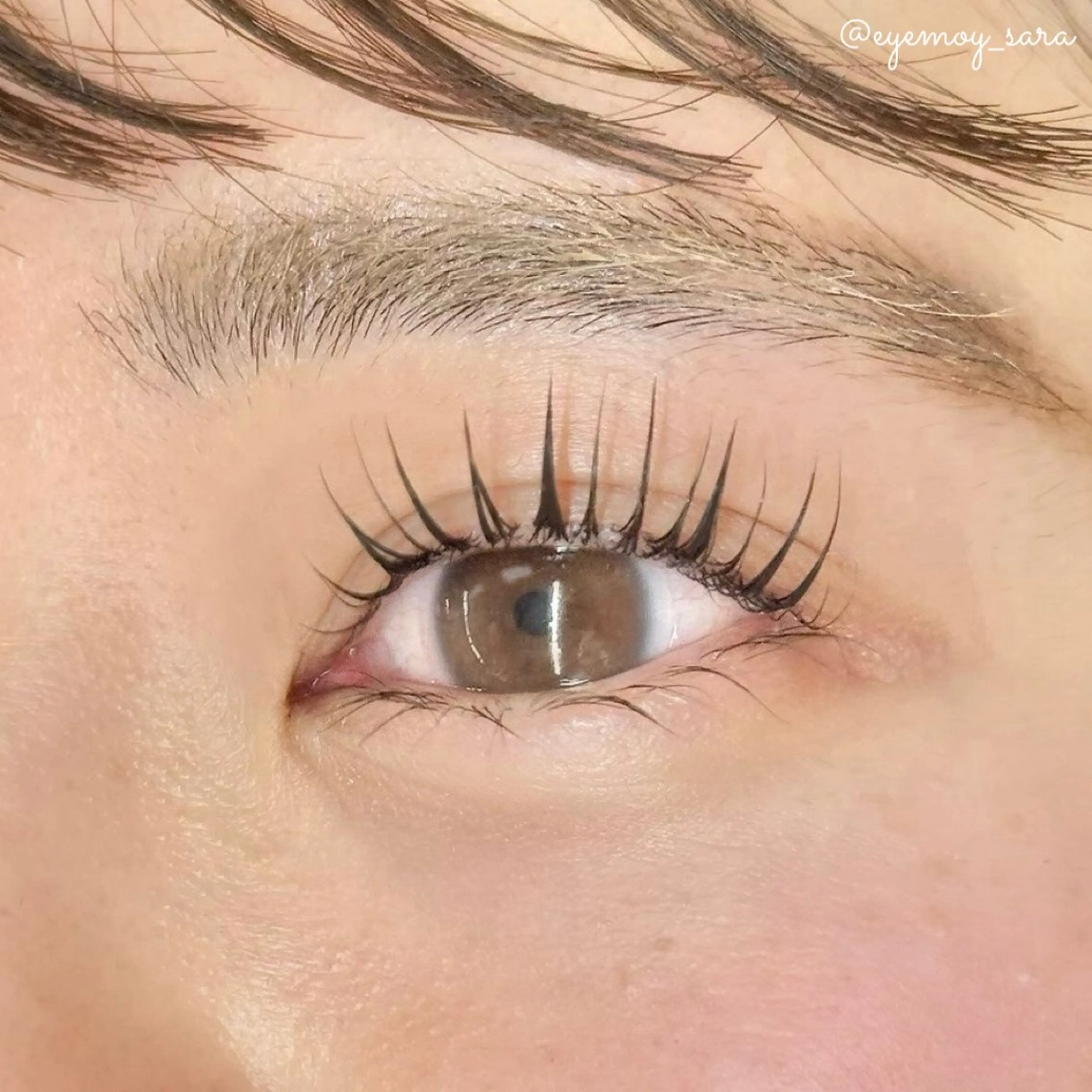 マツエク・マツパ ケラチンラッシュリフト 束感まつ毛 パリジェンヌラッシュリフト まつげパーマ 一重×まつ毛パーマ sara 🌙のマツエク・マツパデザイン