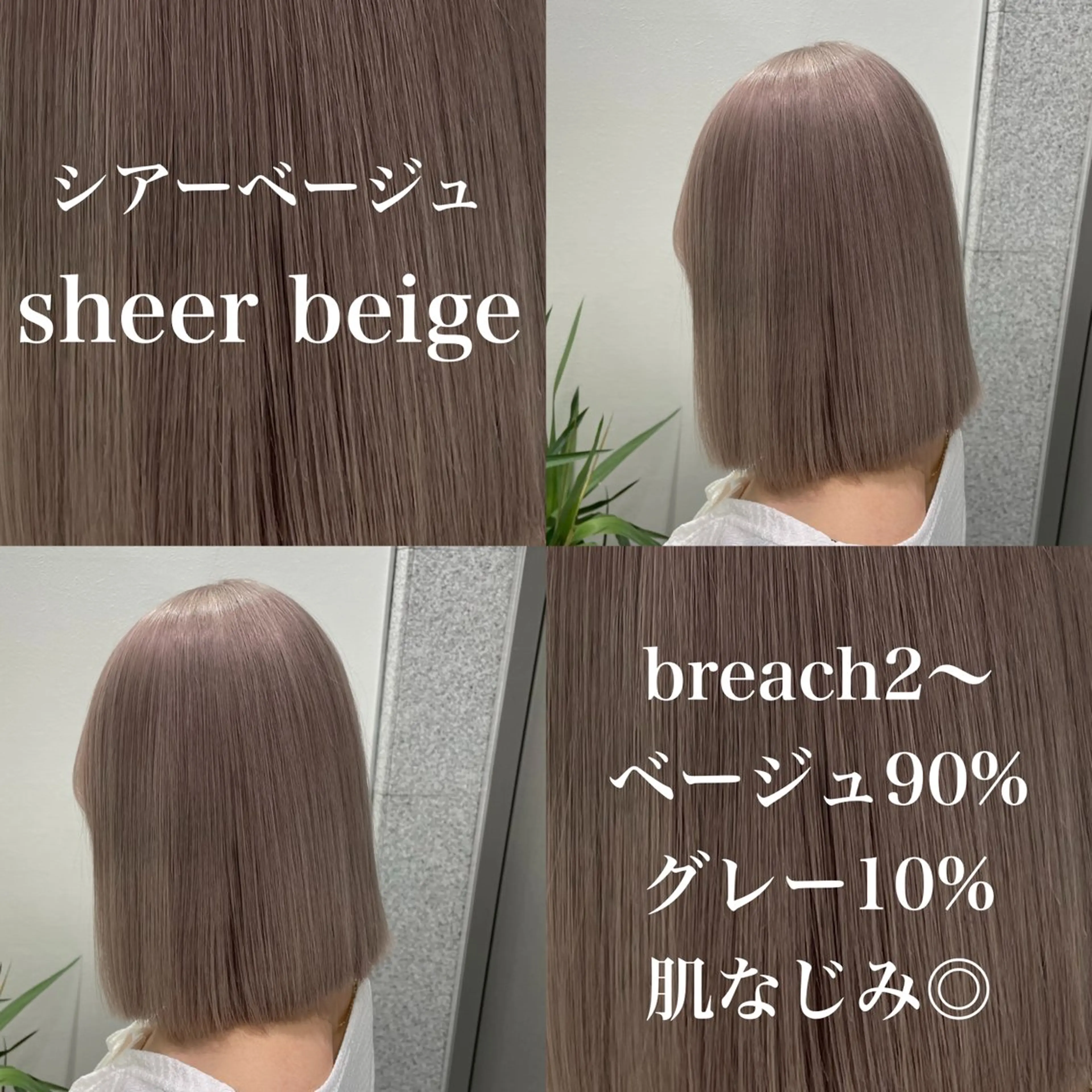 セミロング カラー ヘアアレンジ ヘアカラー トリートメント レイヤー/艶ベージュ /🎀Saki🎀のヘアスタイル