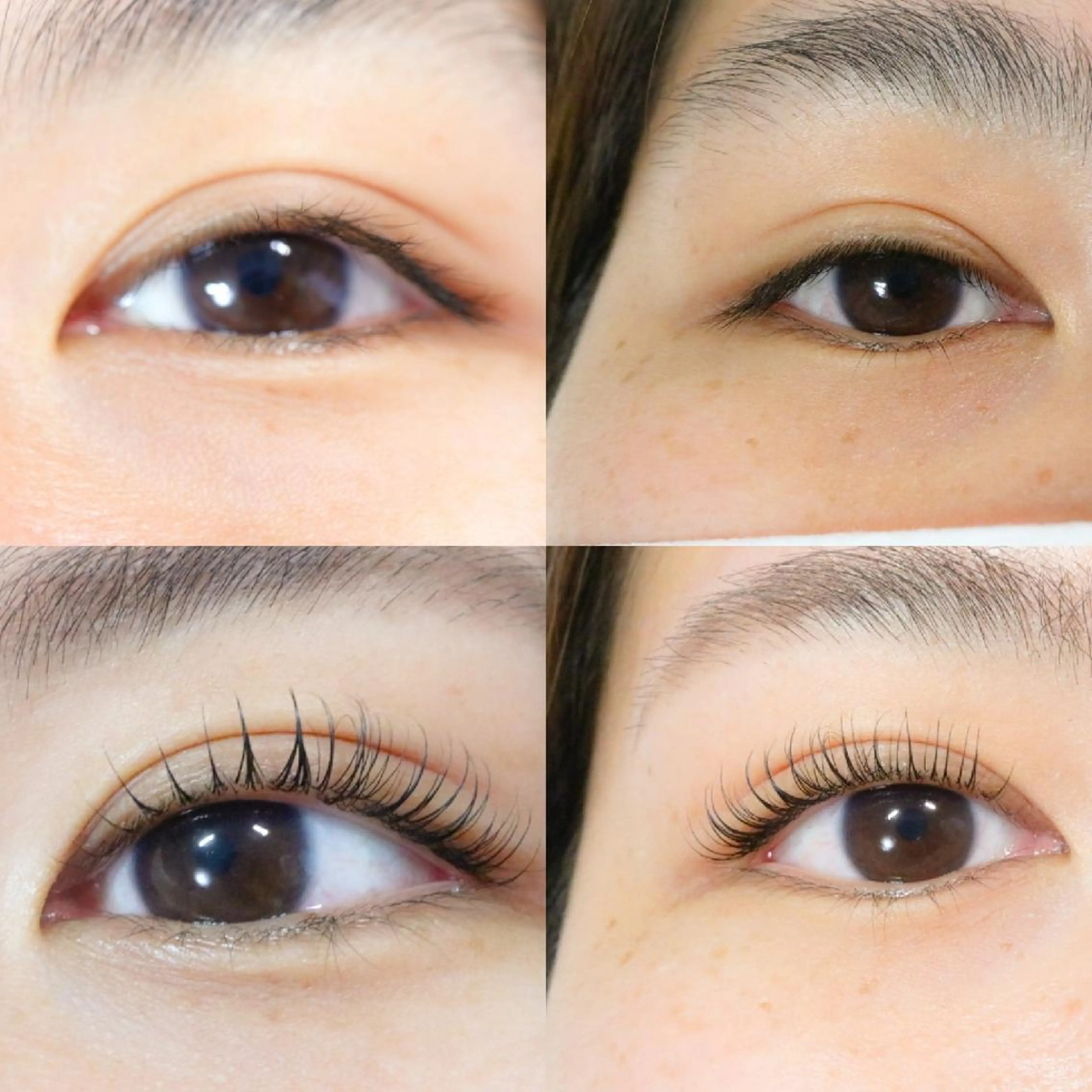 マツエク・マツパ 京都のまつげ桜日和 小島美桜のマツエク・マツパデザイン