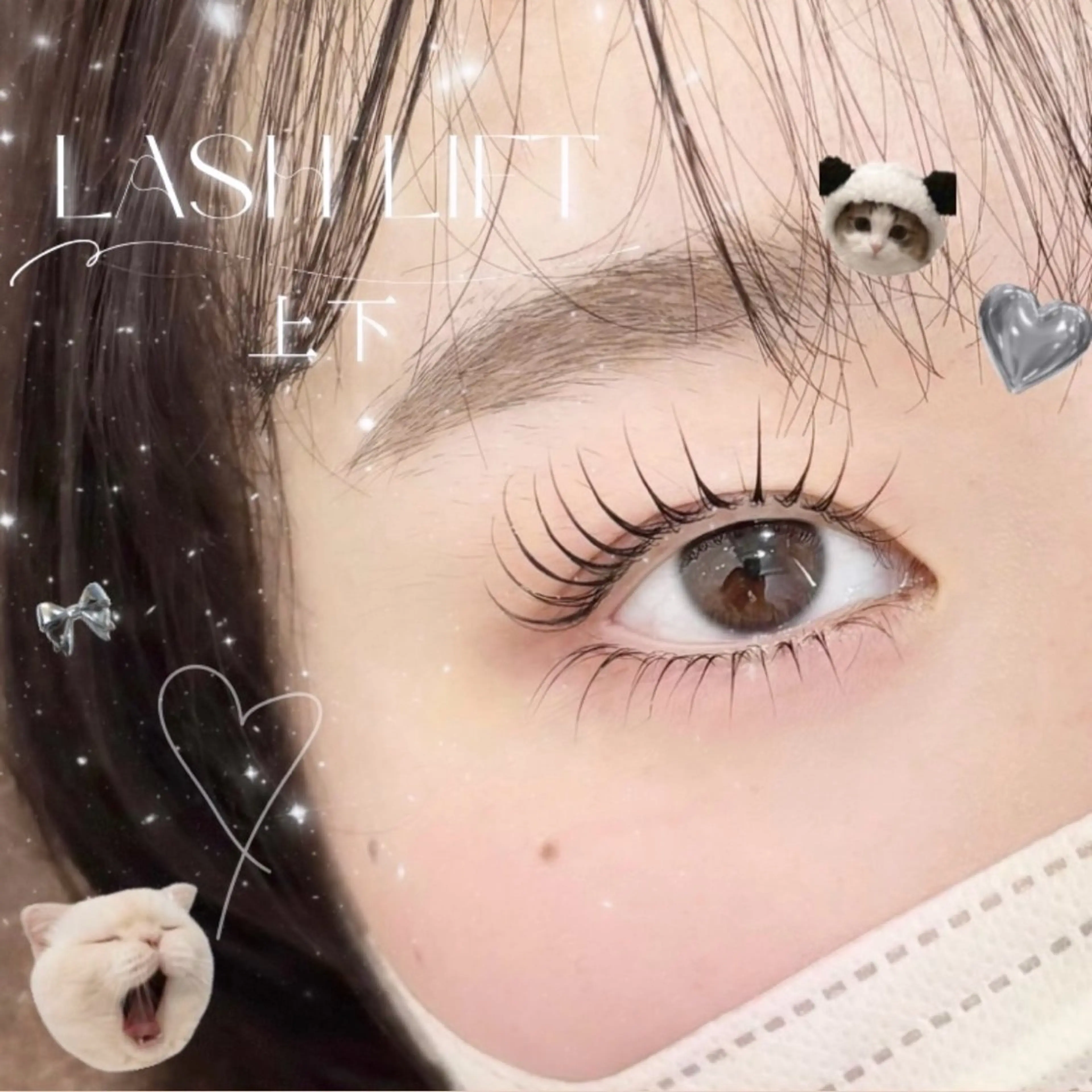 上下┊︎Lash lift🪽ྀིの写真