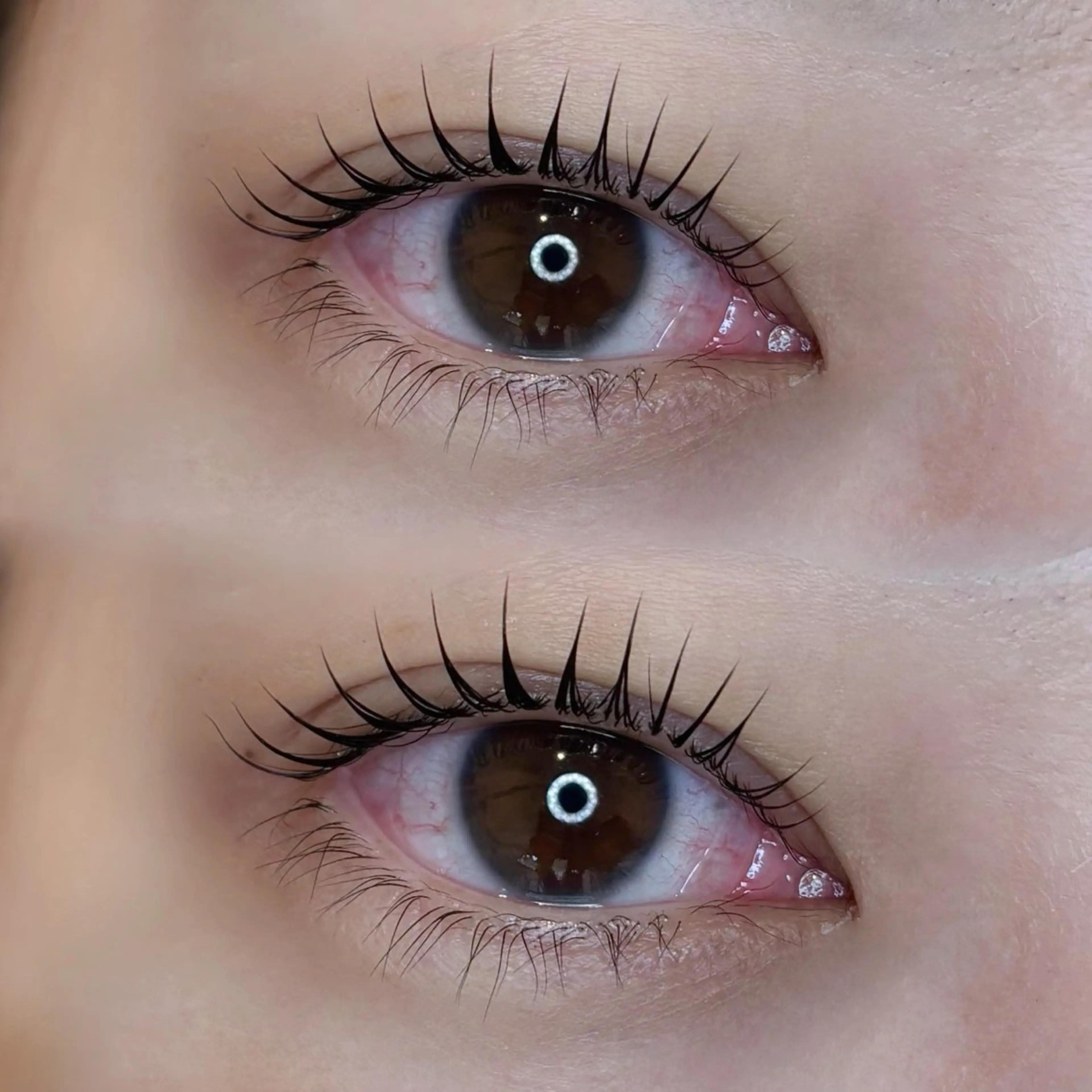 まつげパーマ➕コーティング付き🫧の写真