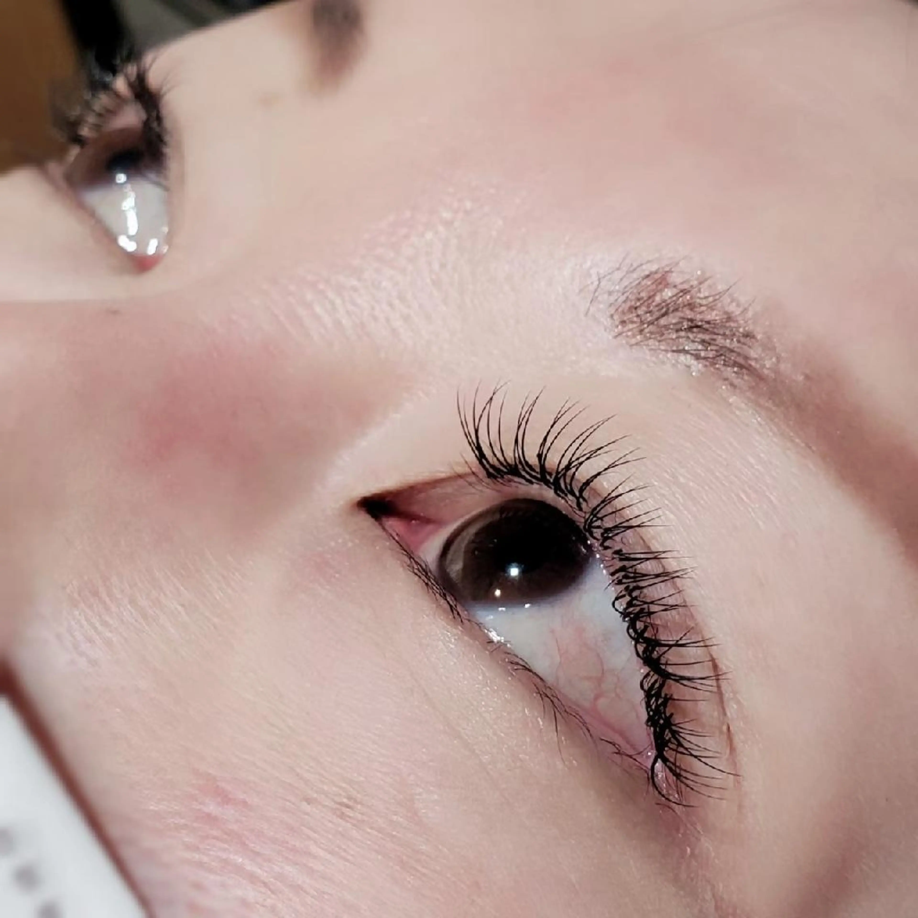 マツエク・マツパ B'Lash Maitaの眉毛・アイブロウイメージ