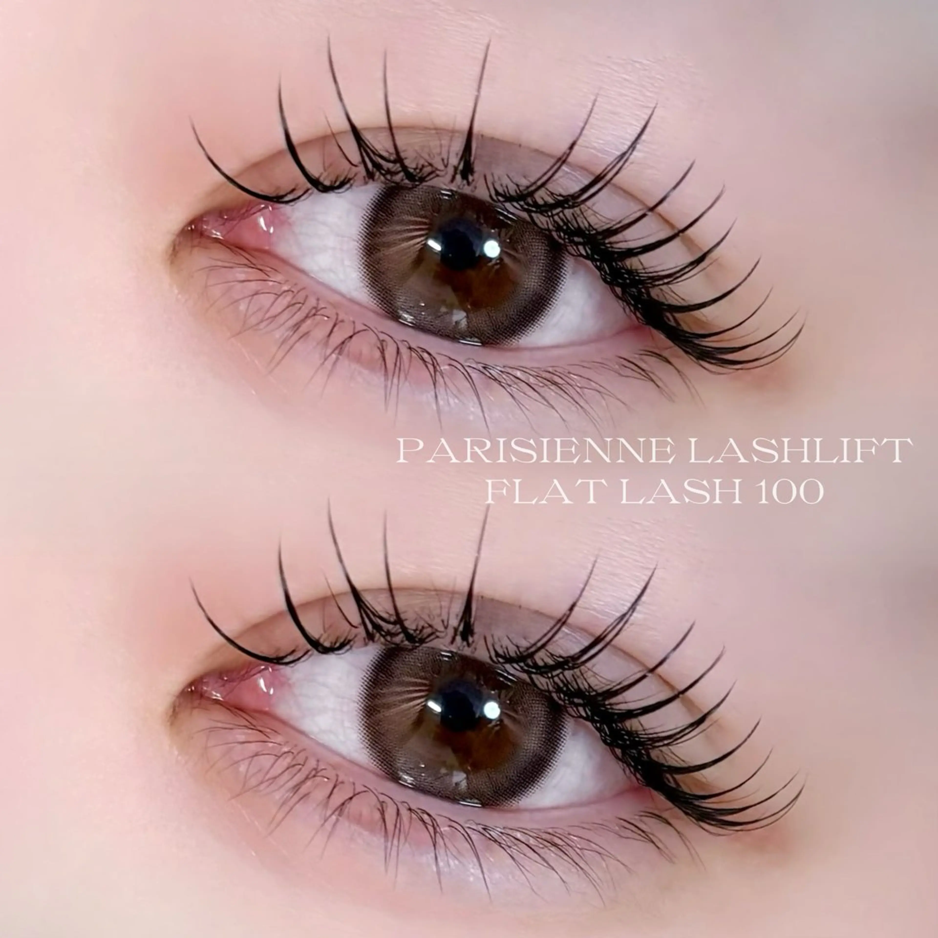 パリエク80本👀束感コーティング付き✨の写真