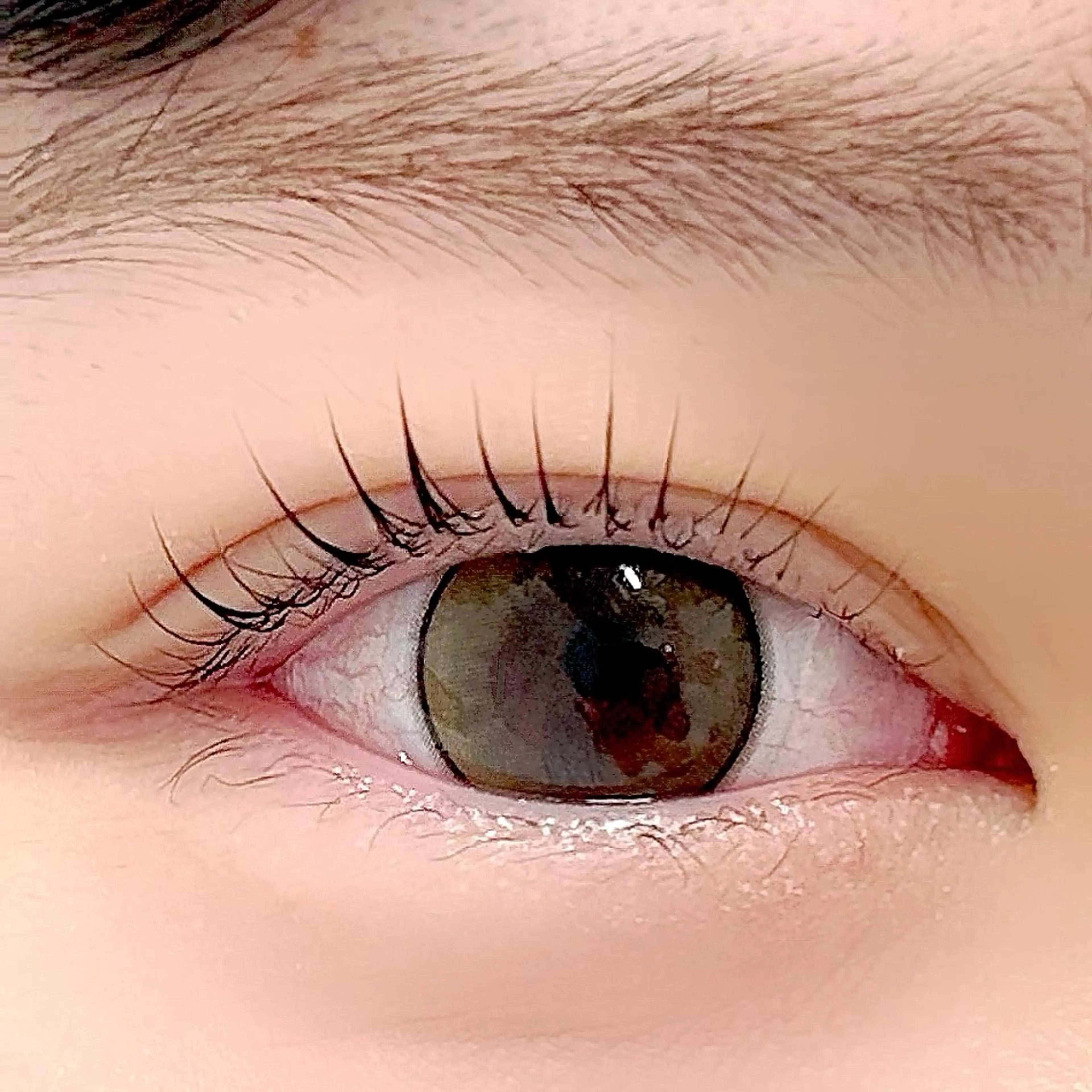 マツエク・マツパ パリジェンヌラッシュリフト 一重×まつ毛パーマ BellFlower Aki（眉・まつげ）のマツエク・マツパデザイン