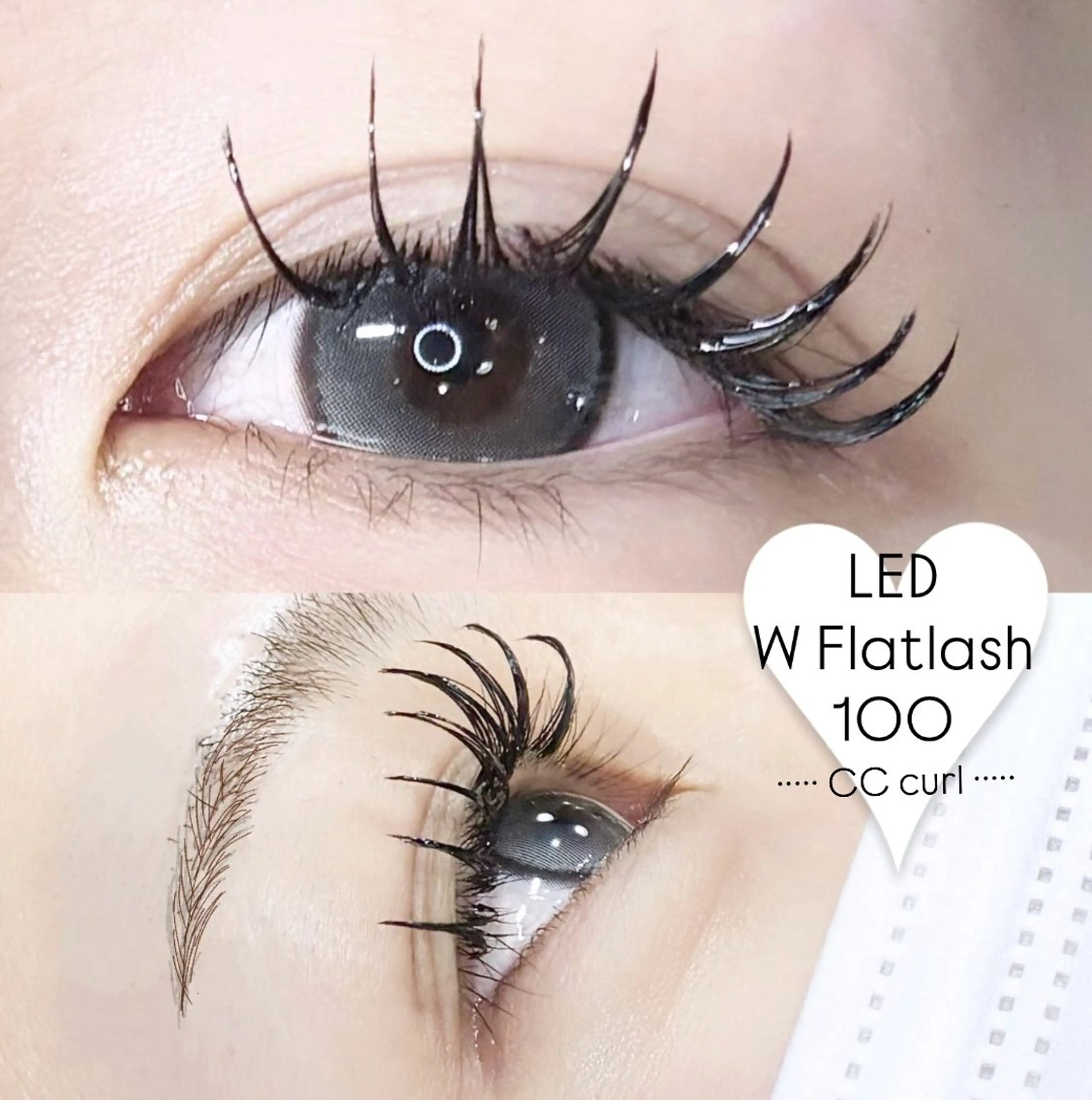 マツエク・マツパ マツエク LEDエクステ専門店 Fedis 京橋のマツエク・マツパデザイン