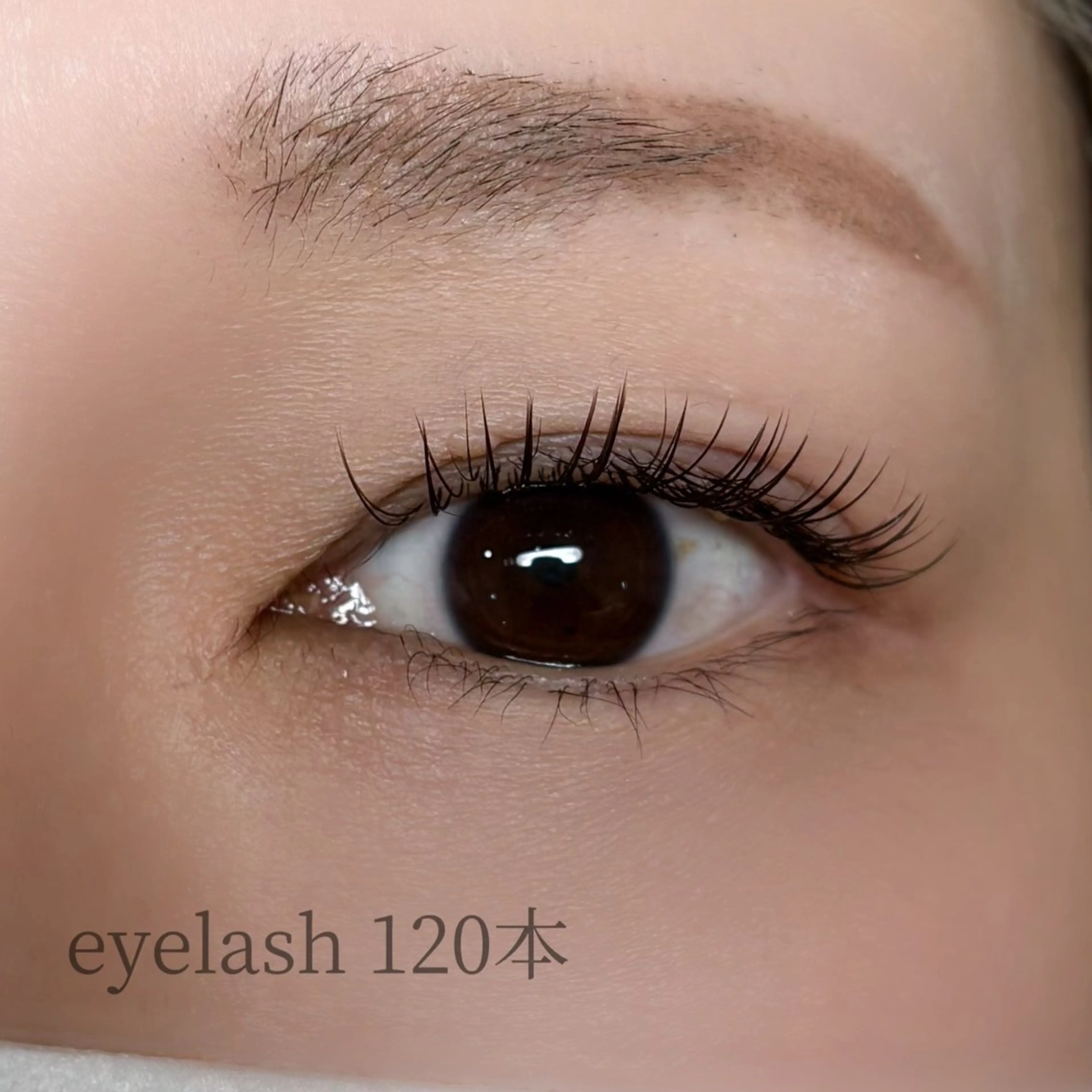 マツエク・マツパ フラットラッシュ signpost 鈴木のマツエク・マツパデザイン