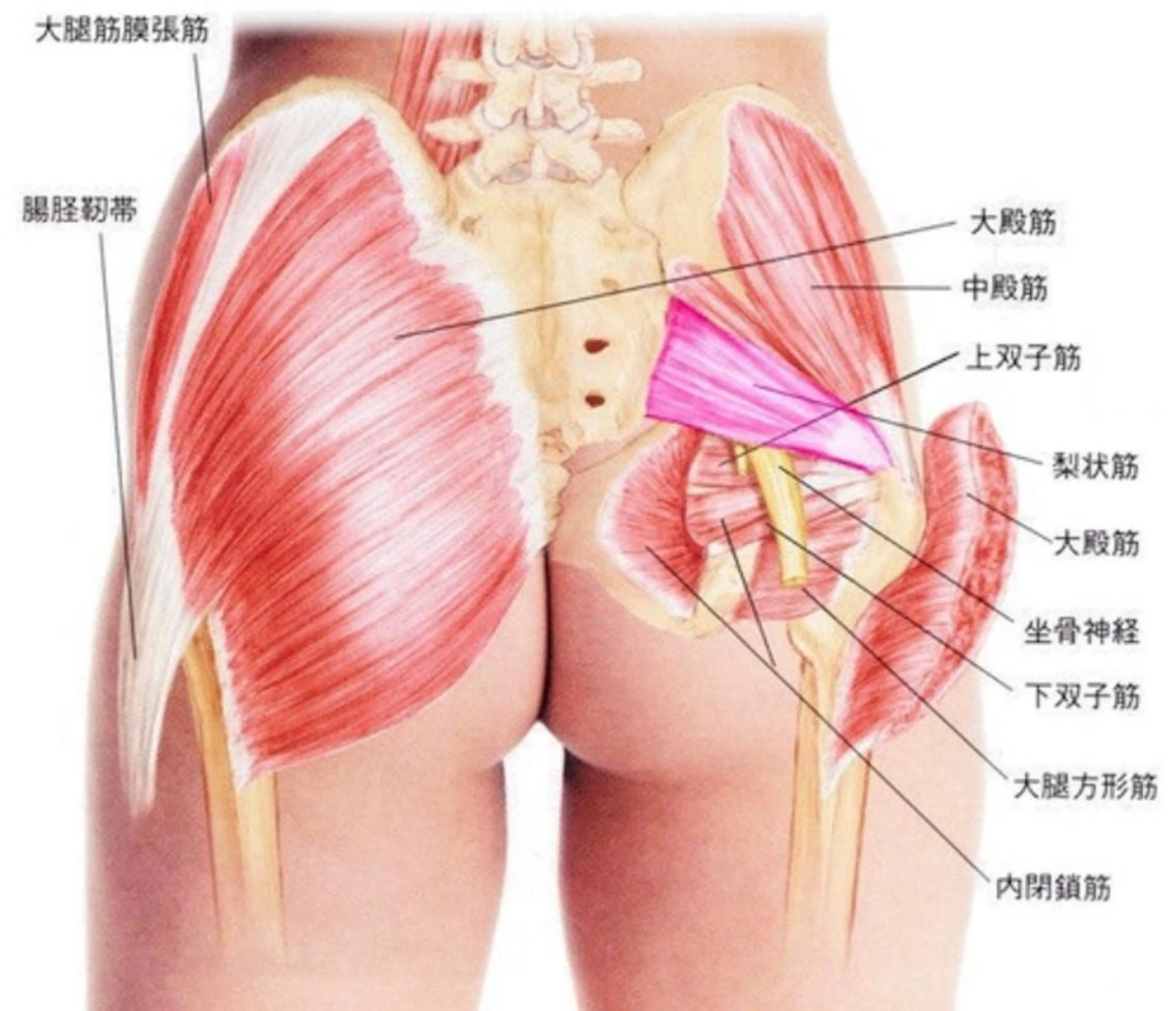 【肩こり】【腰痛】癒しのボディメンテサロンBMS金沢所属・野村 千代美のエステ・リラクイメージ