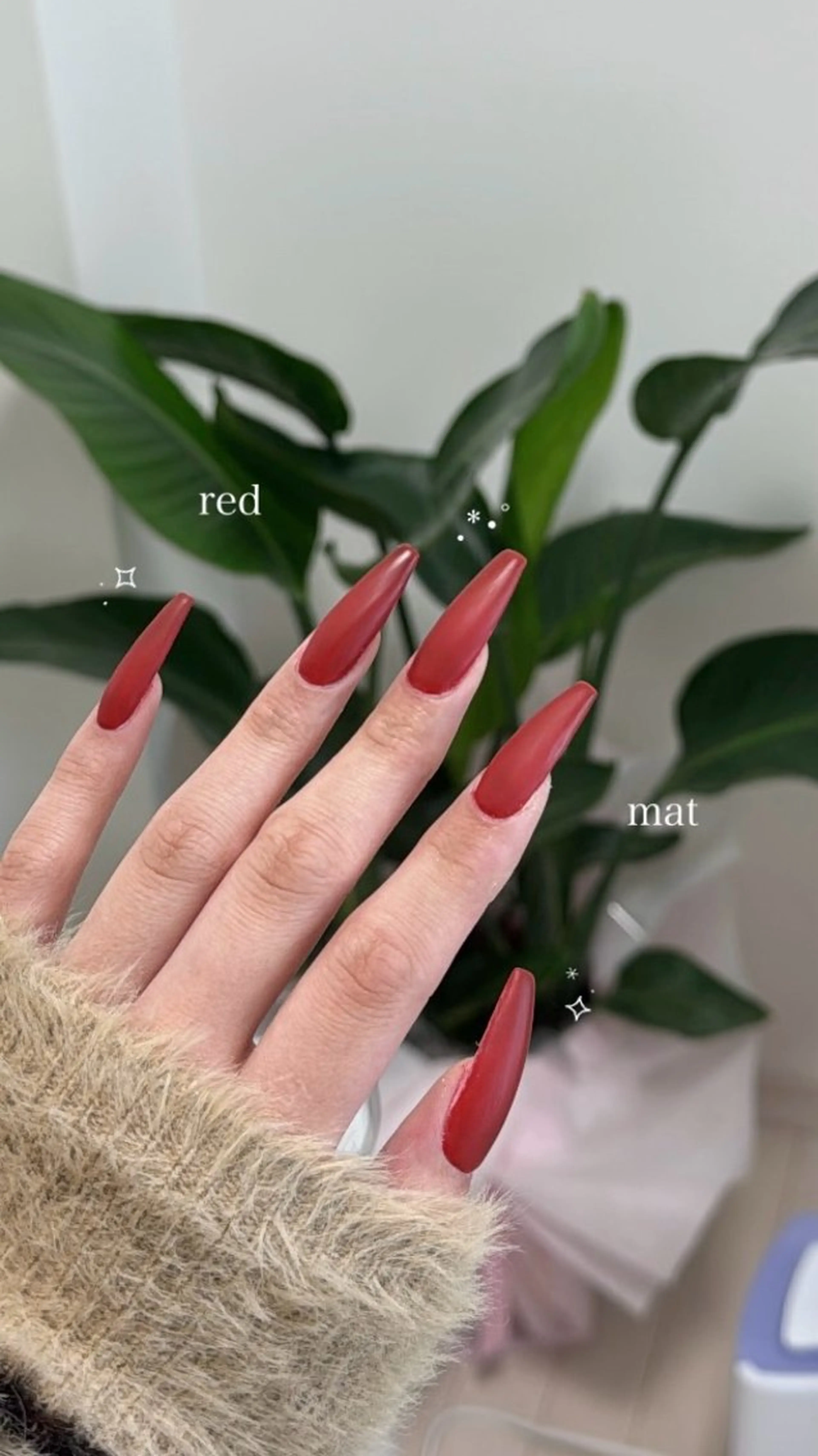 ネイル マットネイル ワンカラーネイル nail salon CAREY 🎀のネイルデザイン