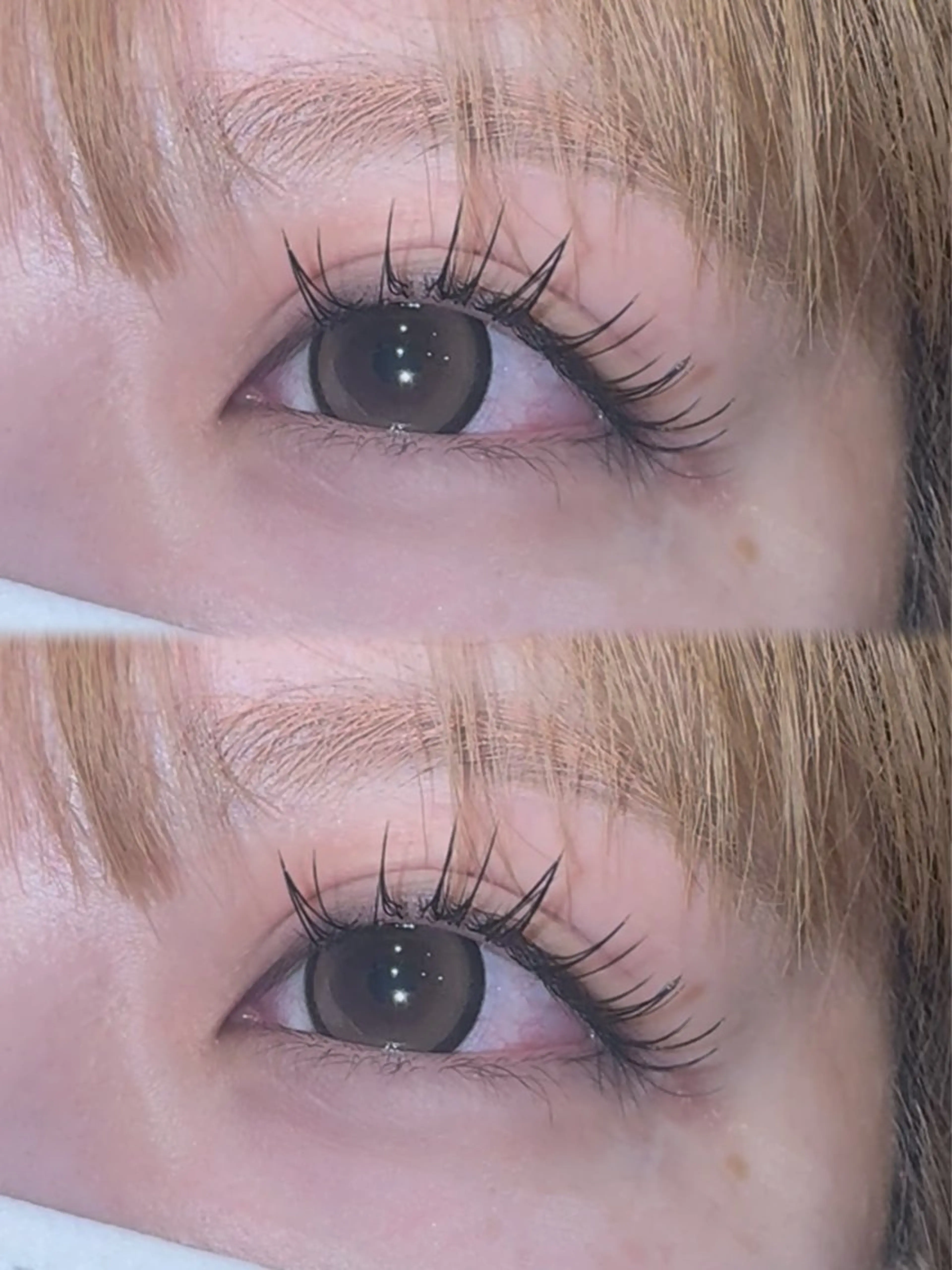 🎀【ナチュラル】最軽量フラットラッシュ100本➕美容液コーティング束感仕上げ✨️の写真