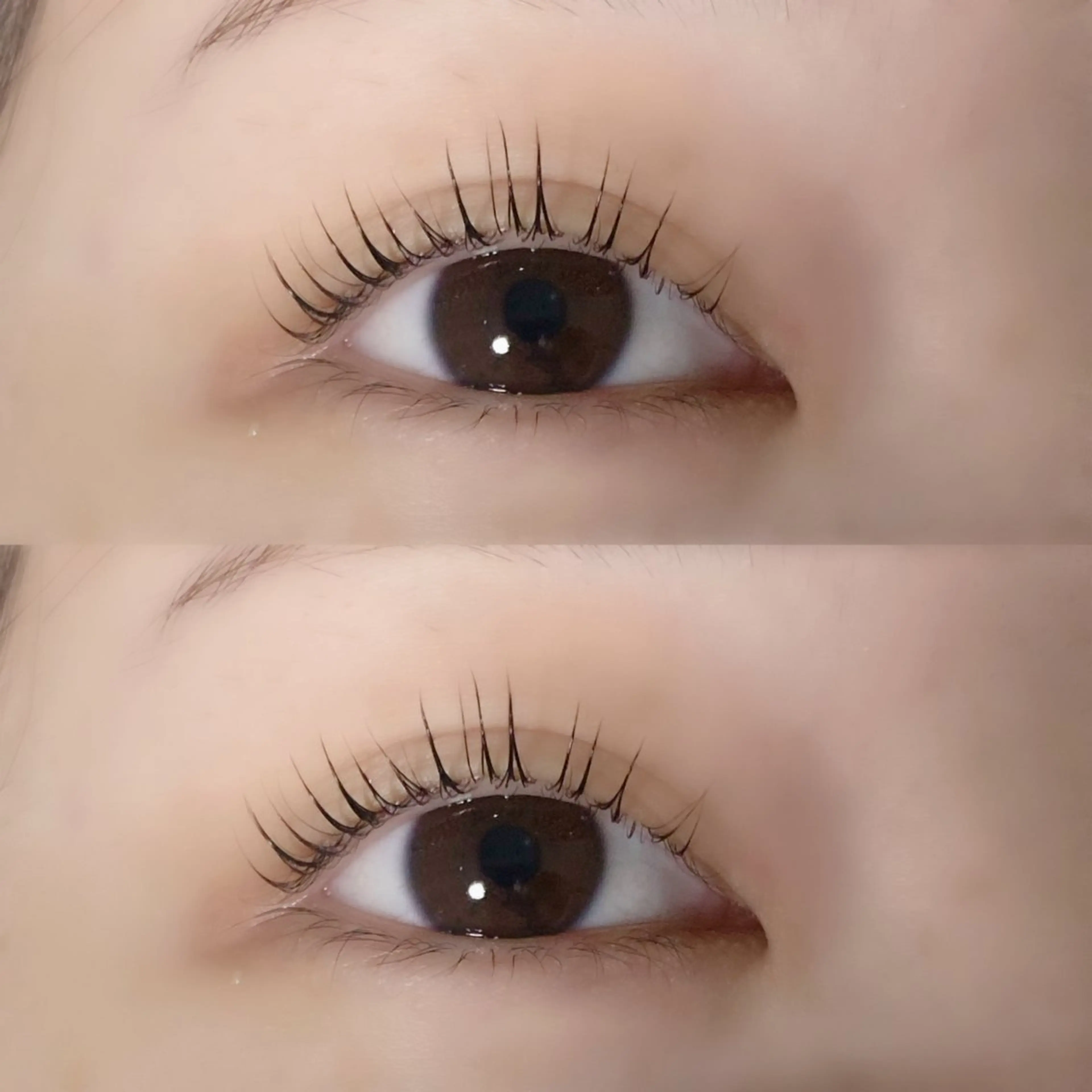 マツエク・マツパ カルフールノア七隈店所属・カルフールノア 七隈のマツエク・マツパデザイン