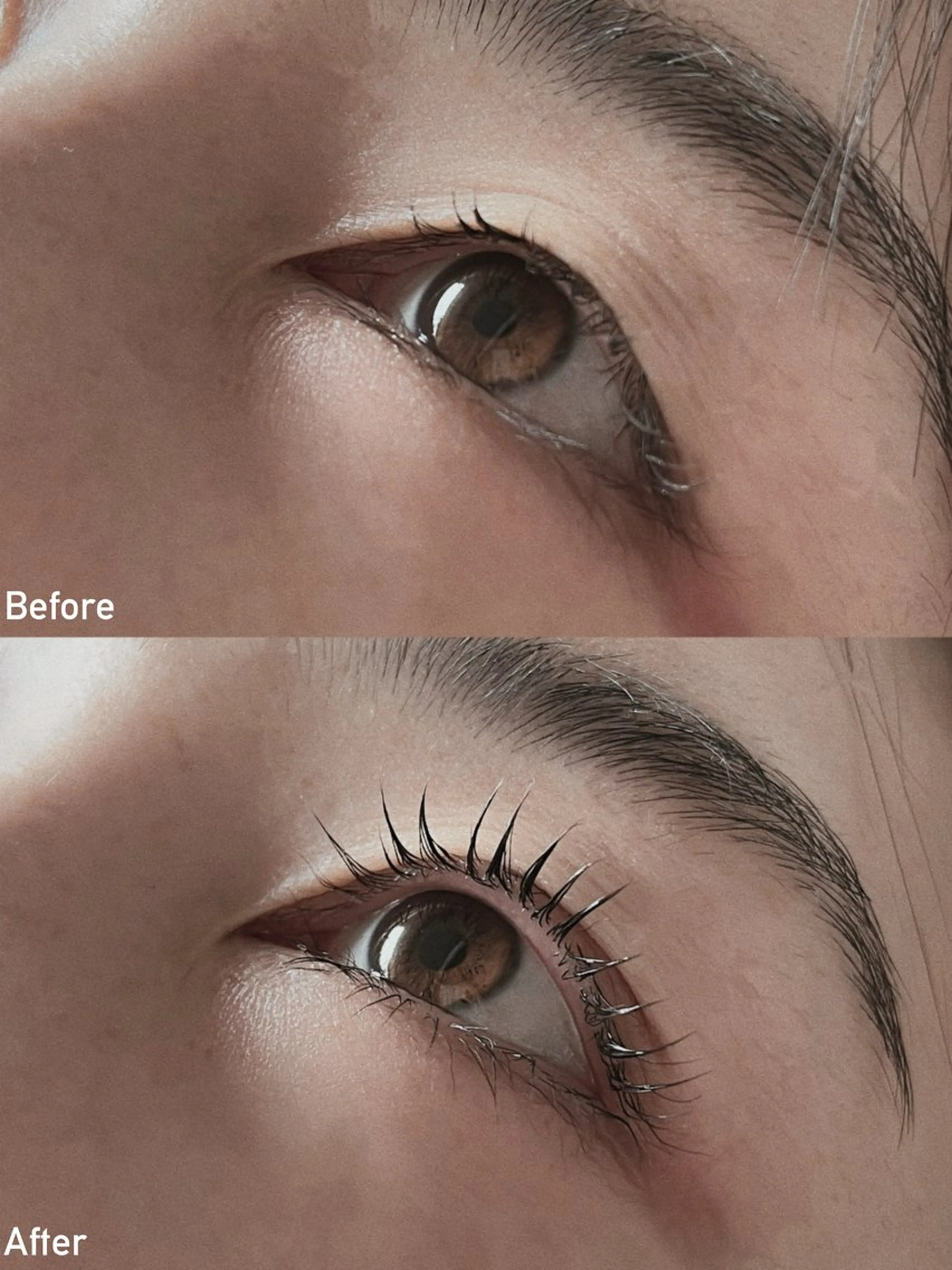 まつ毛パーマ（上+下）の写真