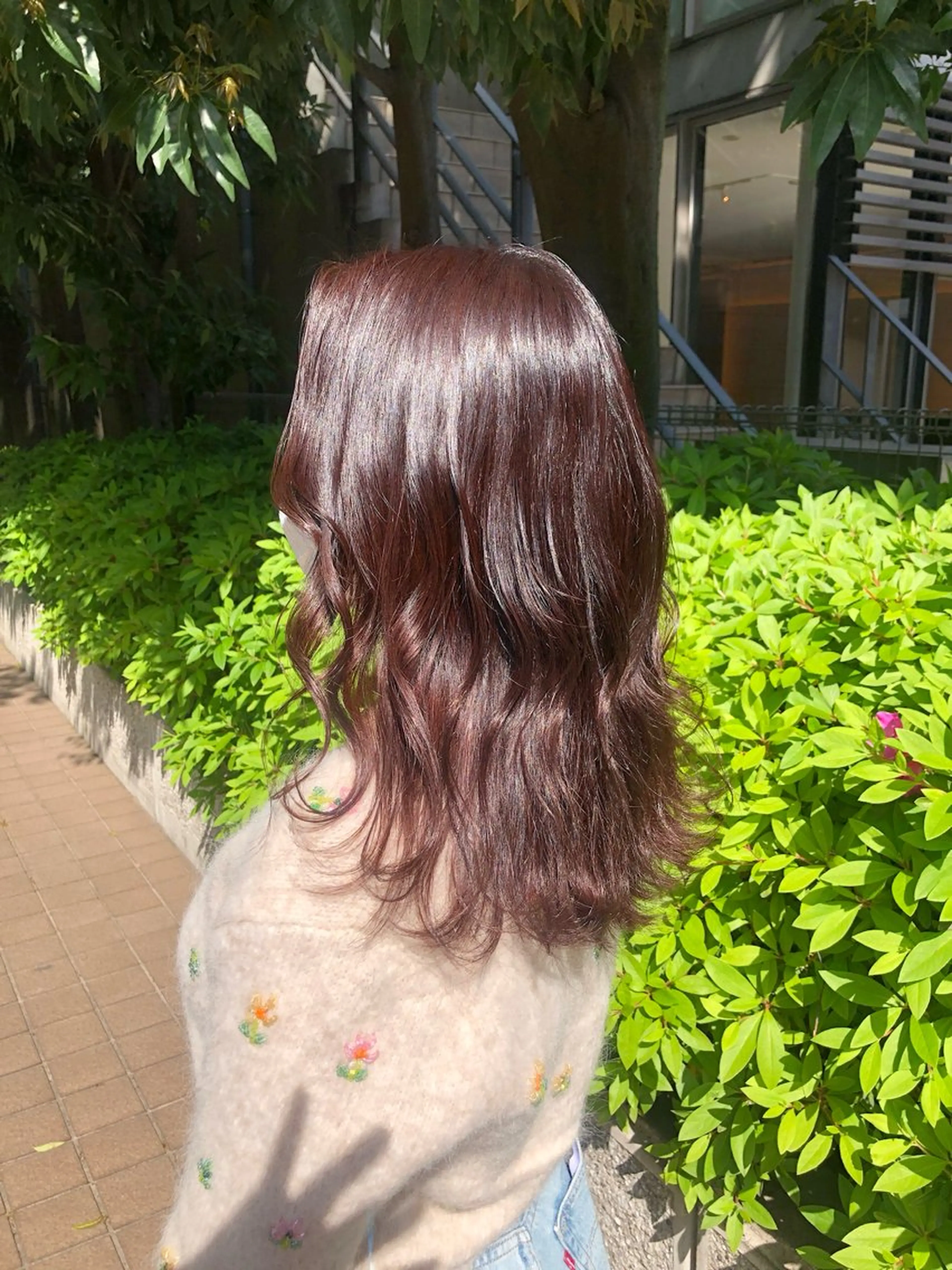 セミロング カラー カット hayaka todaのヘアスタイル