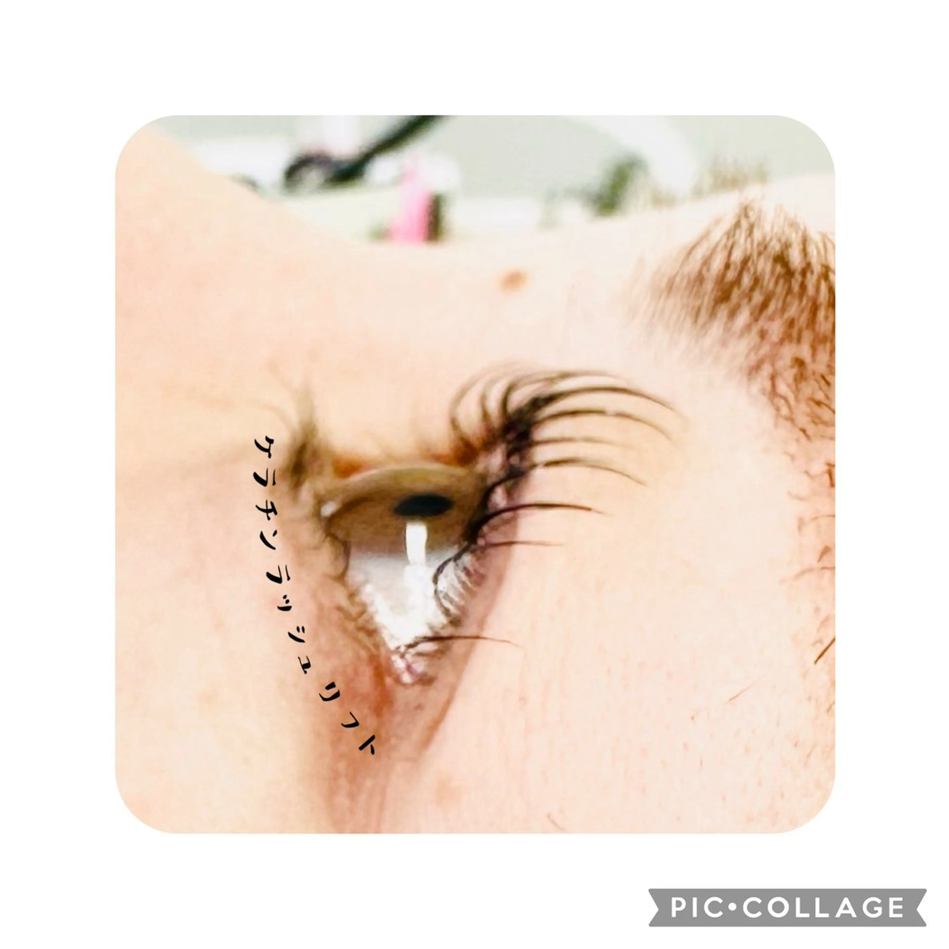 マツエク・マツパ Q'on ERIのマツエク・マツパデザイン