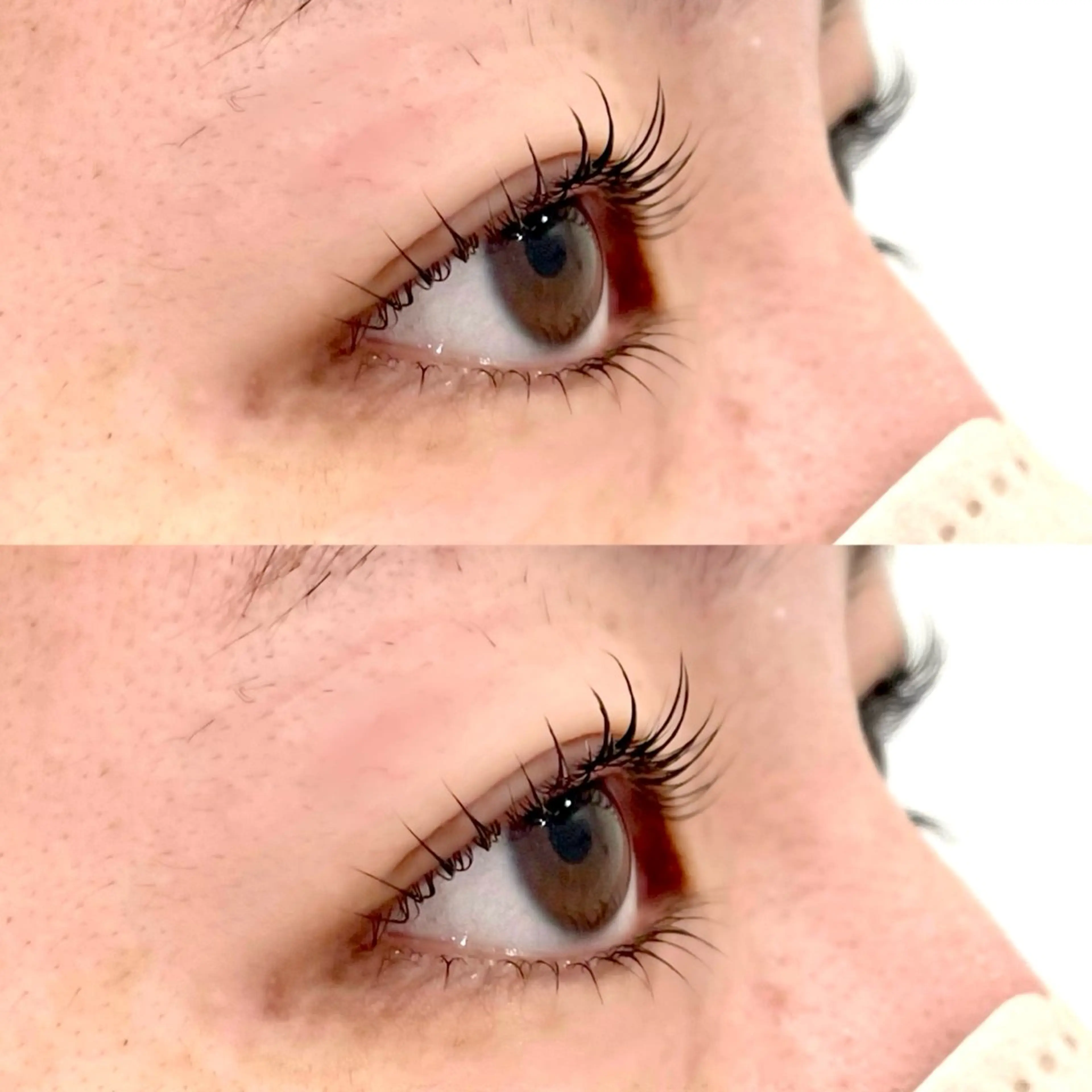 《 新規 》上下まつげパーマ+美容液コーティングの写真
