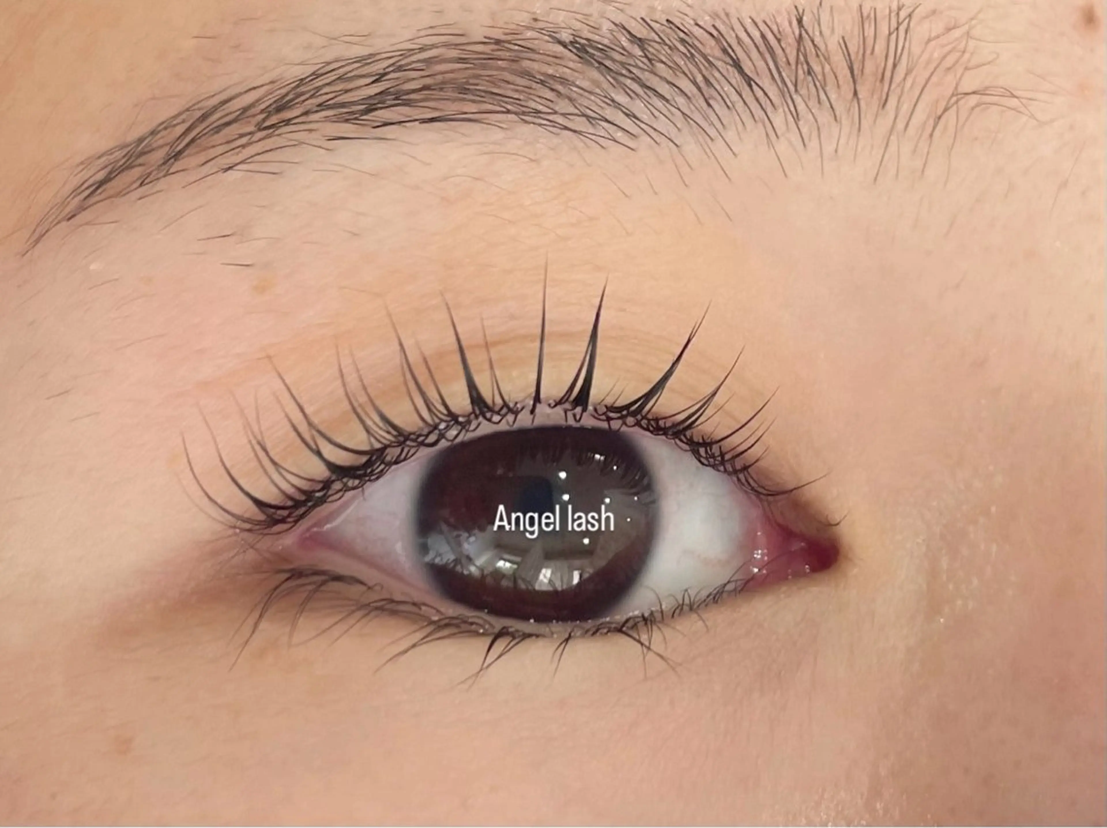 《11月末まで‼️》　🌻まつ毛パーマ2800円🌻オフ別途500円の写真