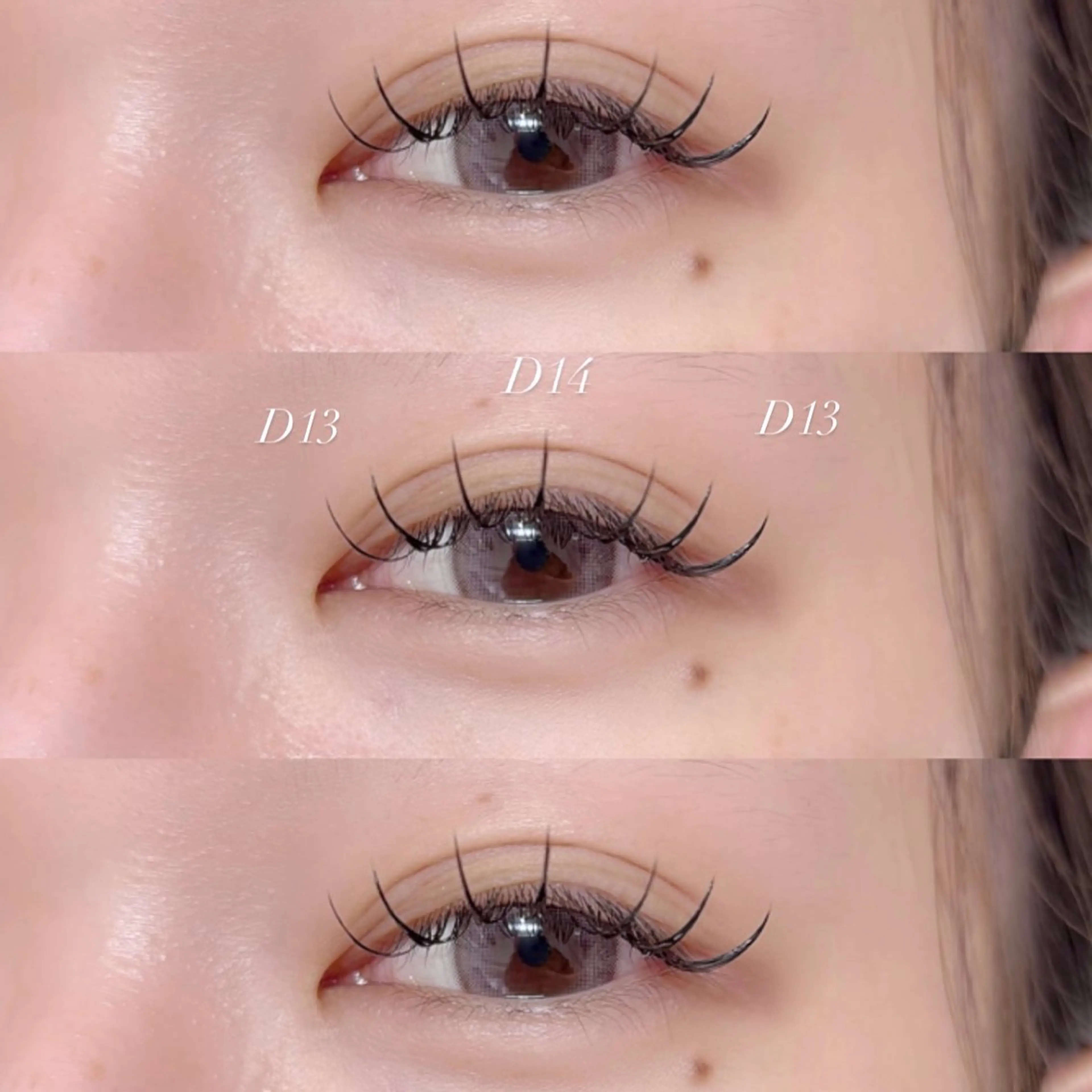 フラットラッシュ100本🐈‍⬛🌟の写真