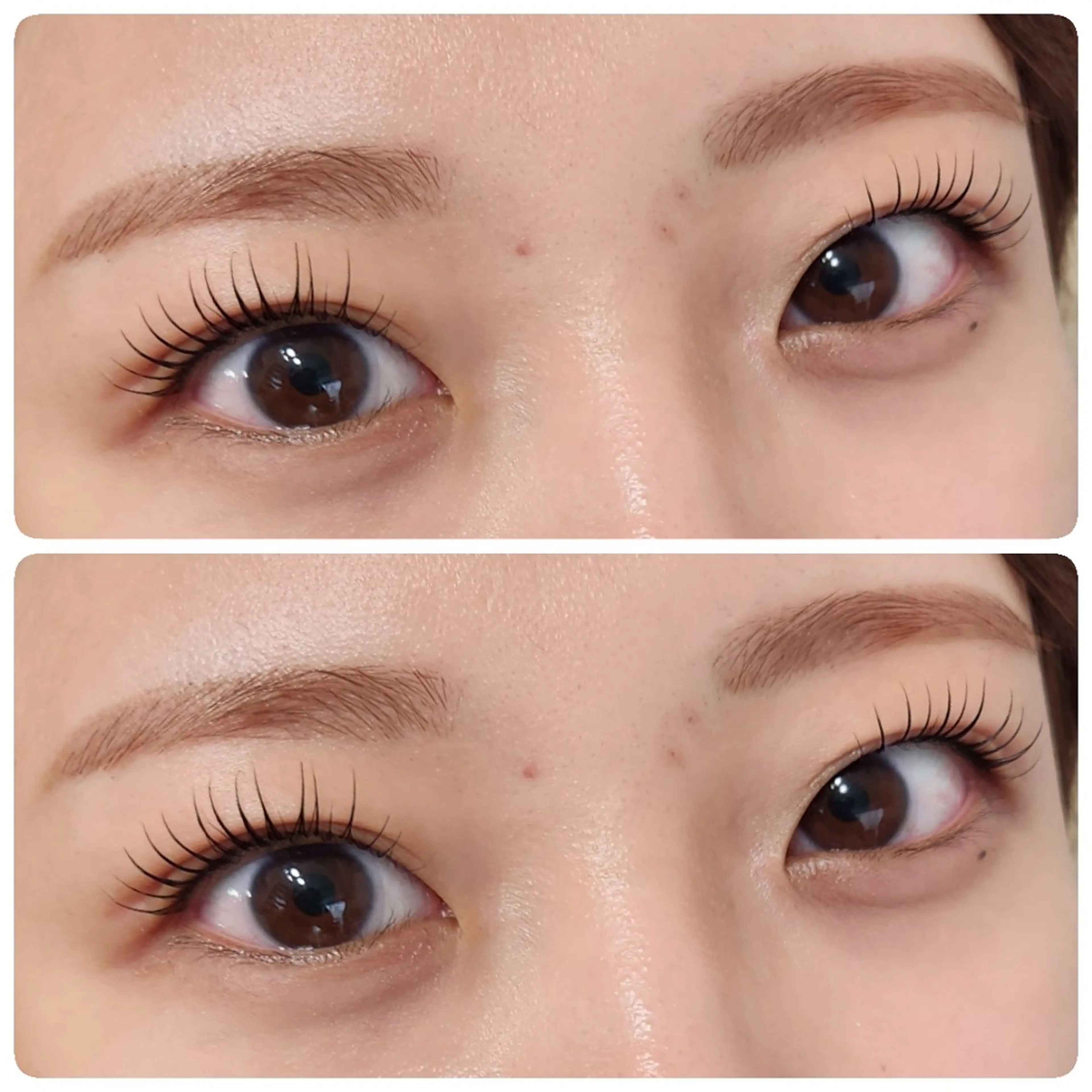 マツエク・マツパ パリジェンヌラッシュリフト マツパ beautysalon ASHA所属・ASHA ikumiのマツエク・マツパデザイン