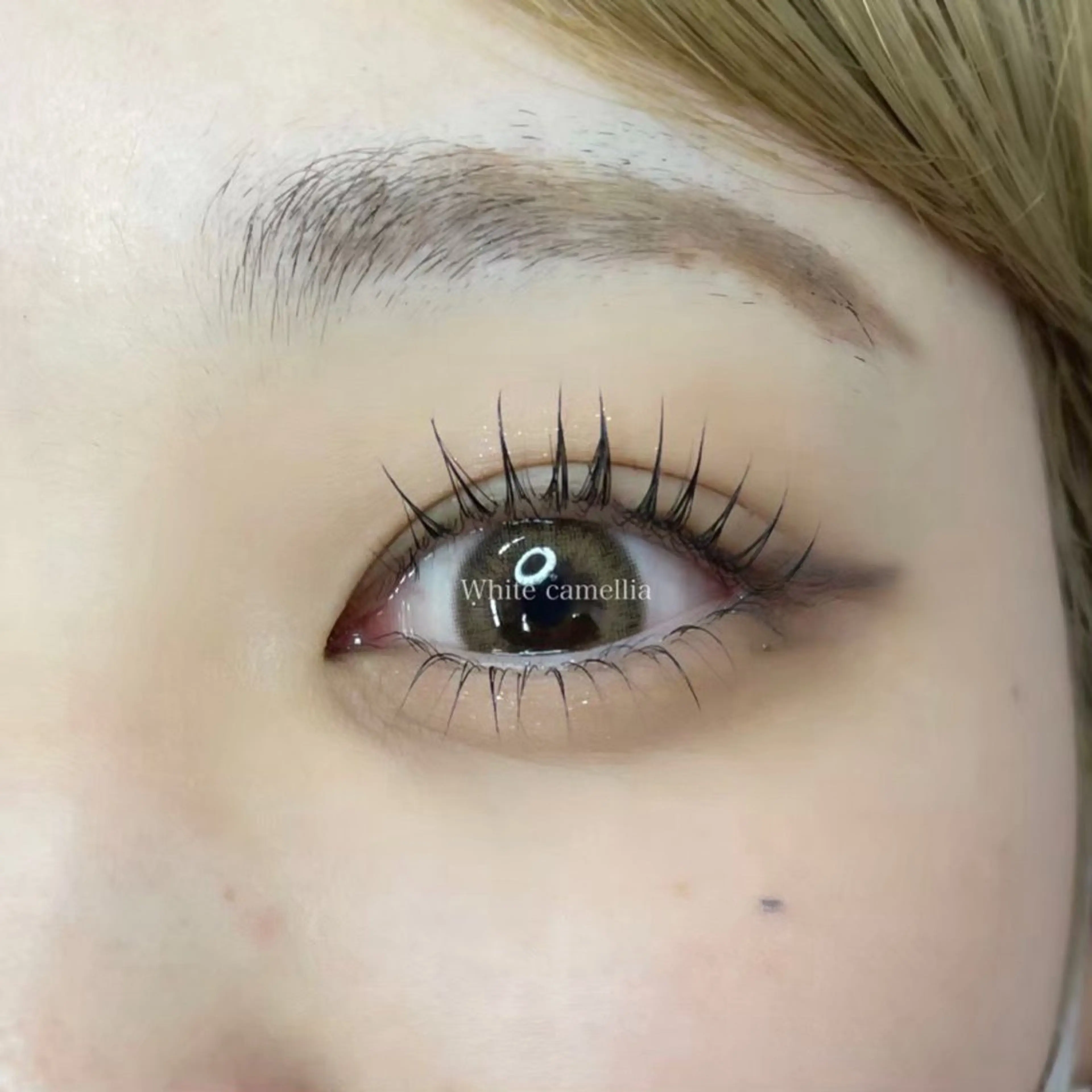 まつ毛パーマ 無料レッスンモデルの写真