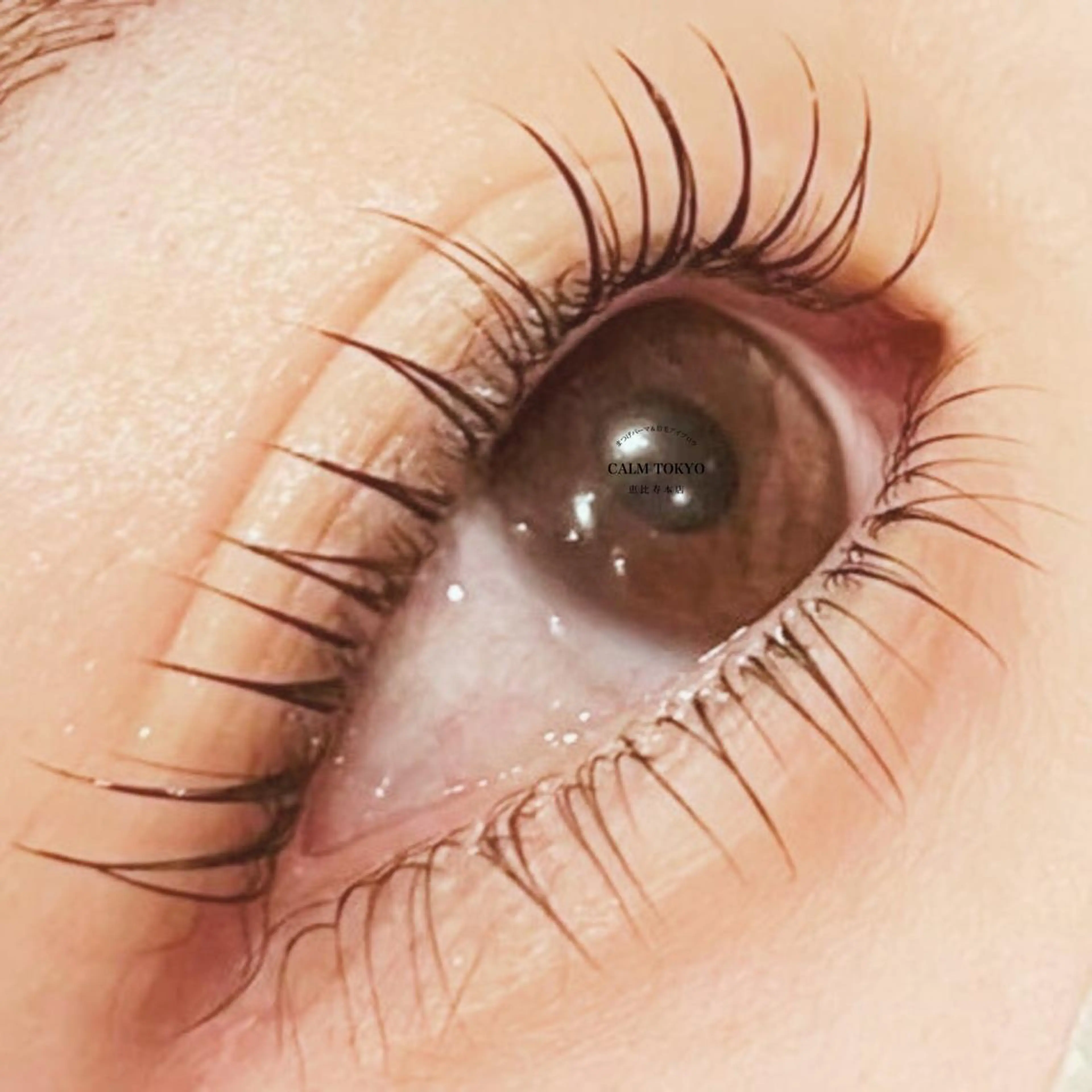 【持続美×印象美✨】高持続・毛質改善トリートメント付◎上下まつ毛パーマで自然に整う清潔感の写真