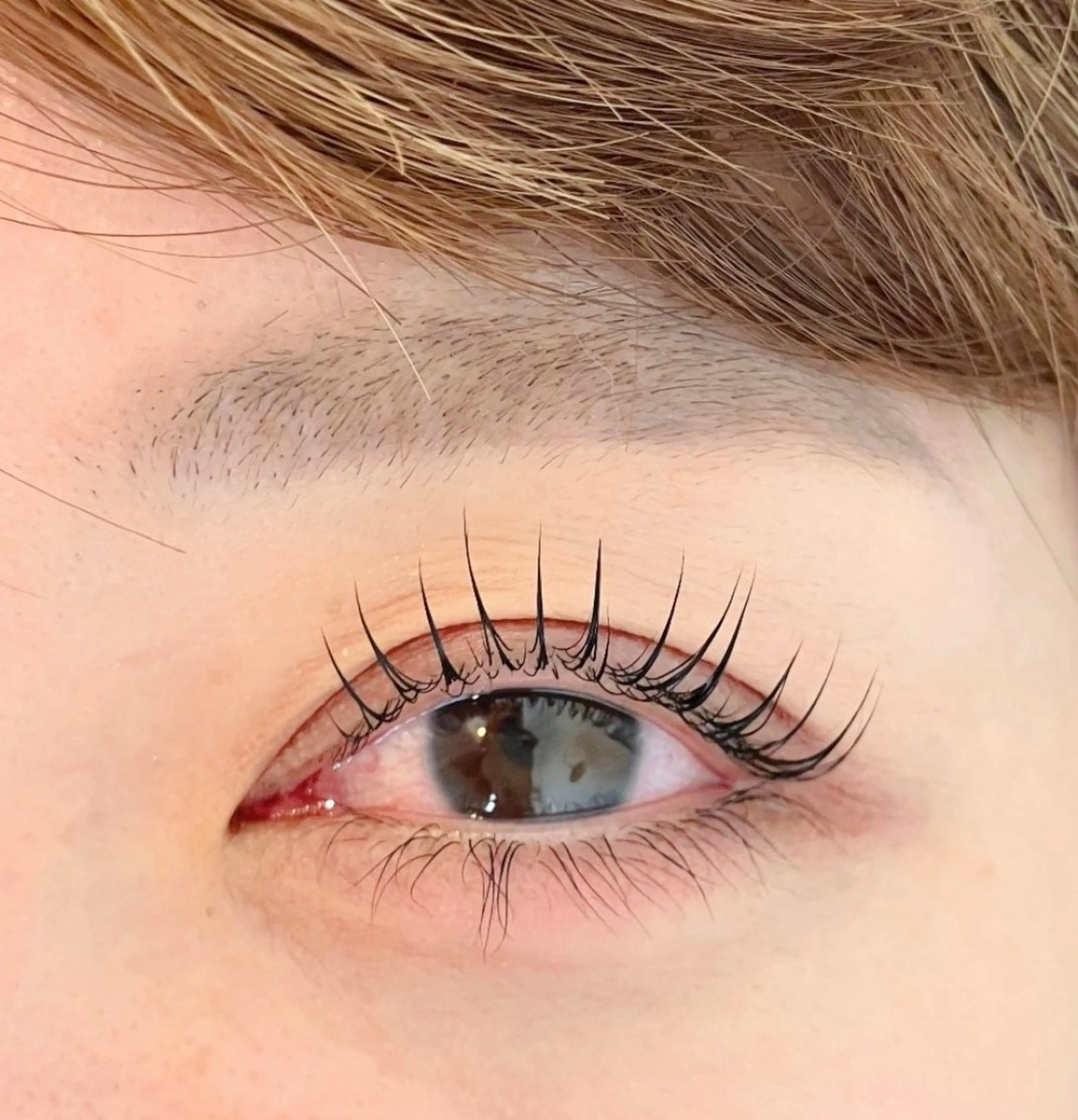 9/8 限定  [上パーマ]パリジェンヌラッシュリフト(CT/TR付)仕上がり写真OKの方のみ!!カール変更可の写真