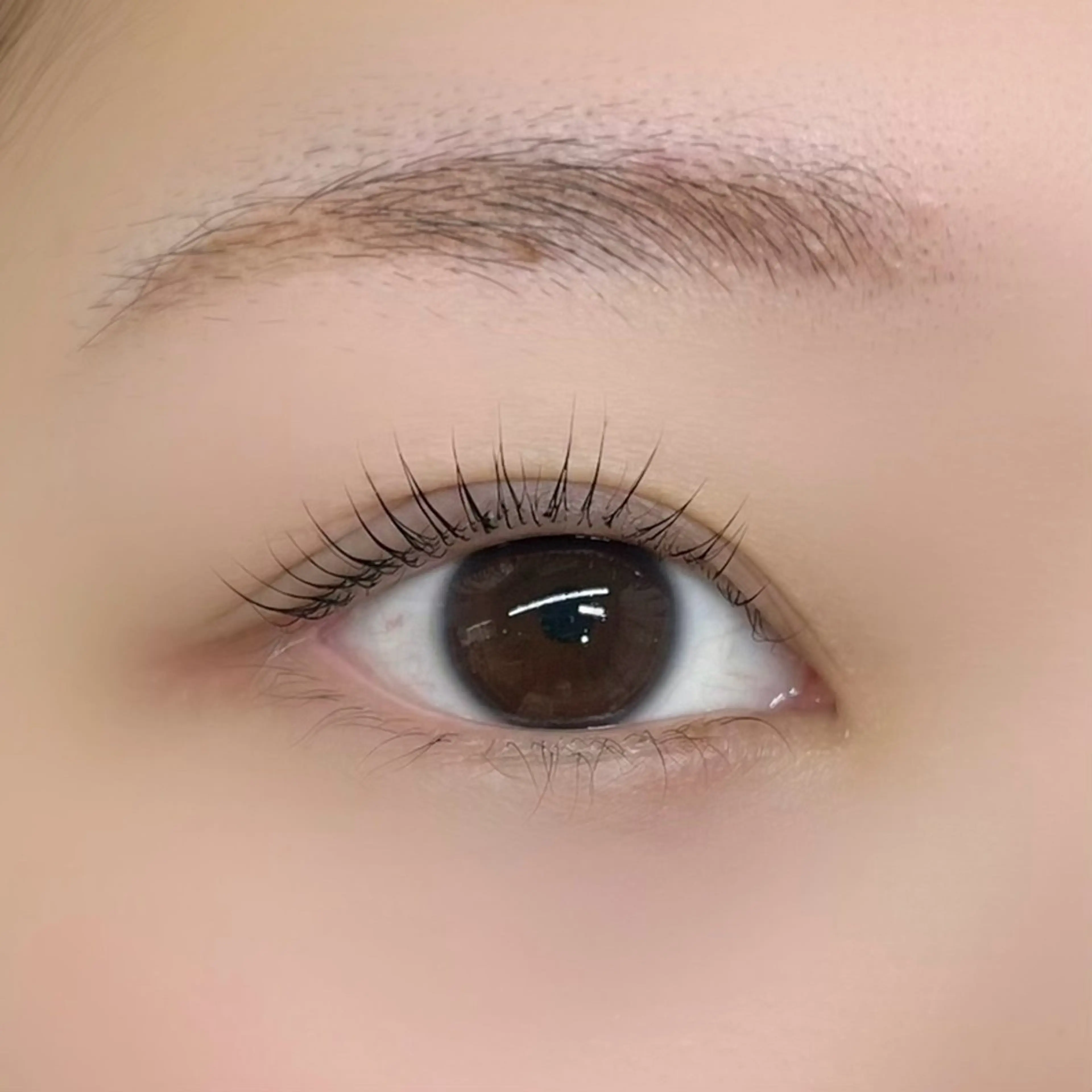 マツエク・マツパ Eden Eyelashのマツエク・マツパデザイン