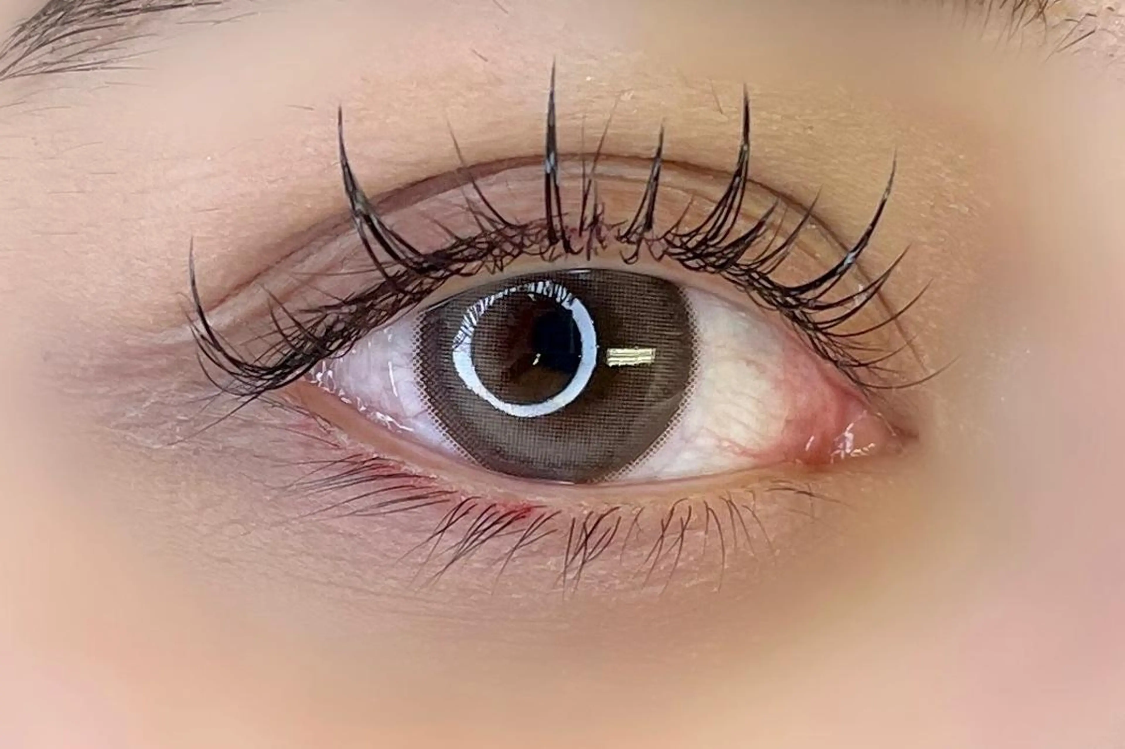 マツエク・マツパ マツエク 大阪福島 韓国まつげ Sayaka🤍🐩のマツエク・マツパデザイン