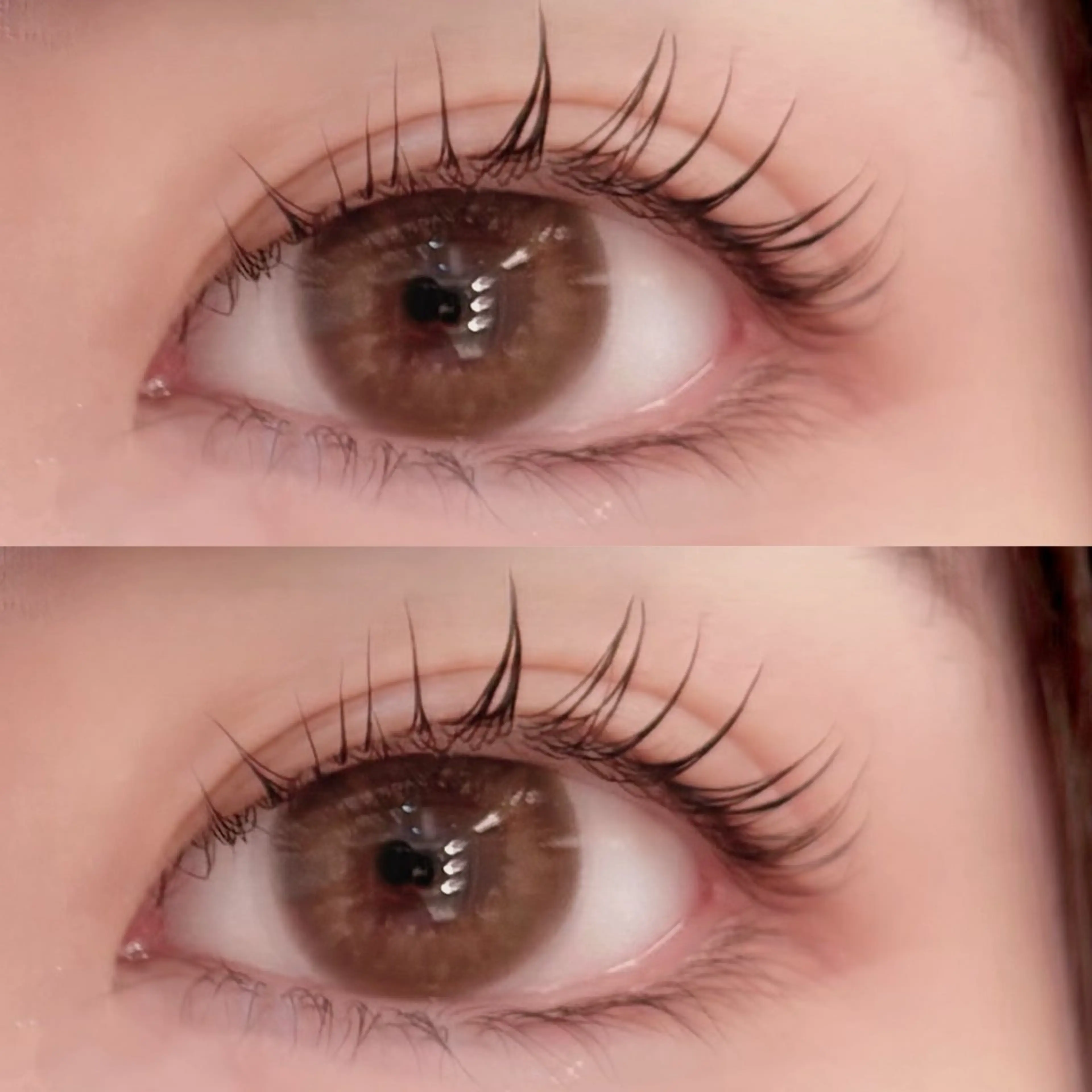 まつ毛パーマ/ラッシュリフト/アイシャンプー付き🫧の写真