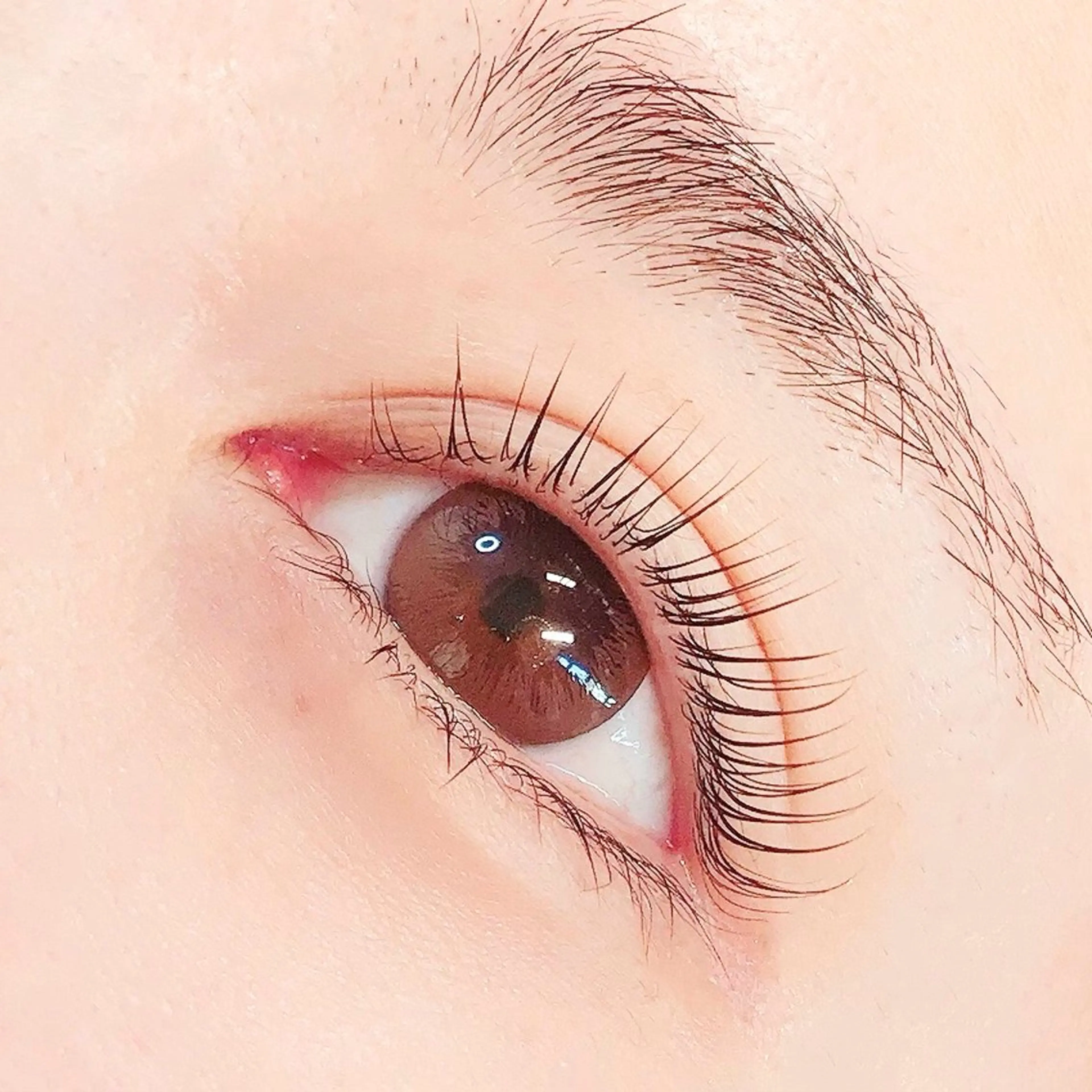 マツエク・マツパ EYEVY BEAUTY SALON所属・EYEVY 門前仲町のエステ・リラクイメージ