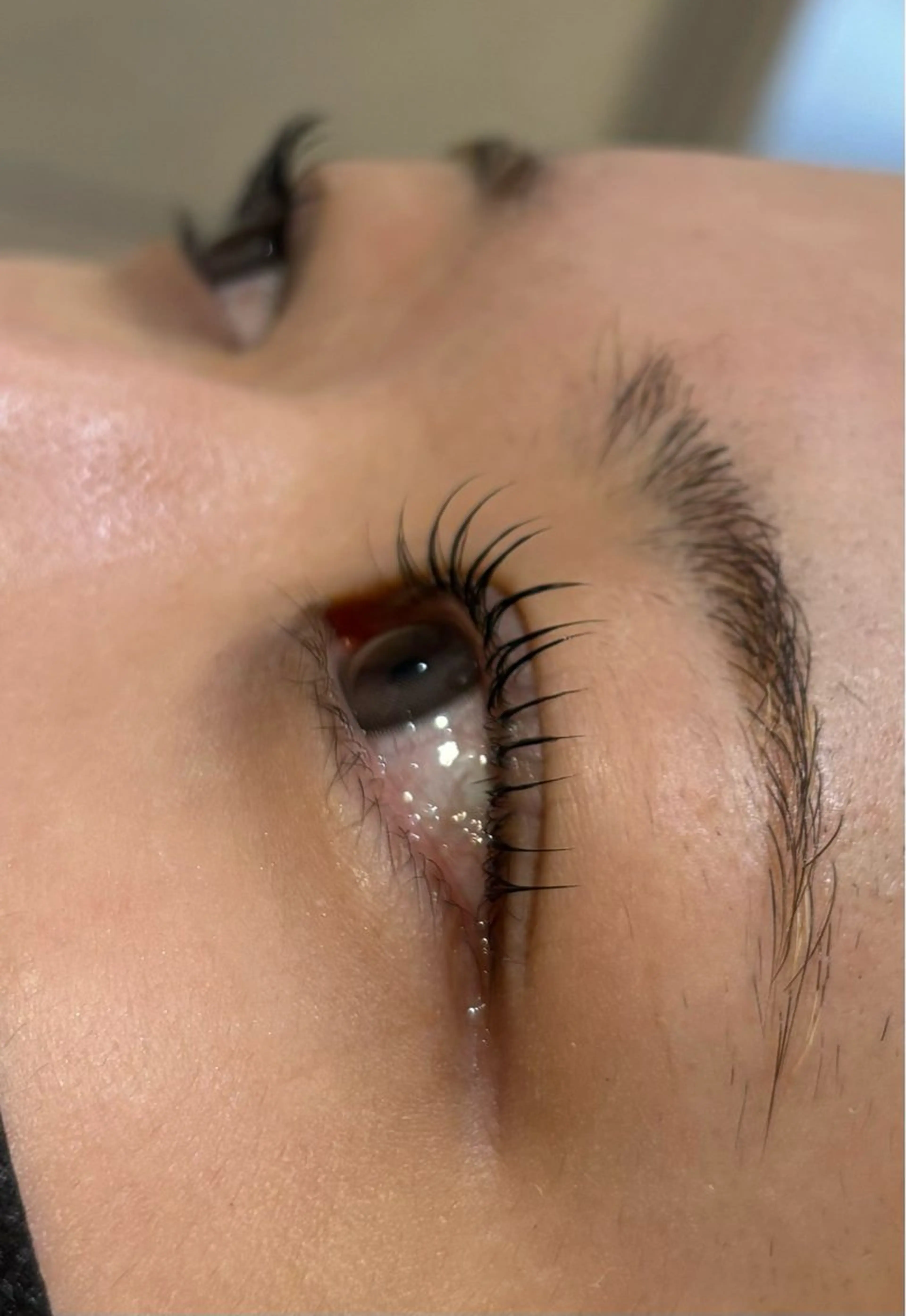 パーマ ネイル&まつげエクステTerra 池袋店所属・池袋 すずきのマツエク・マツパデザイン