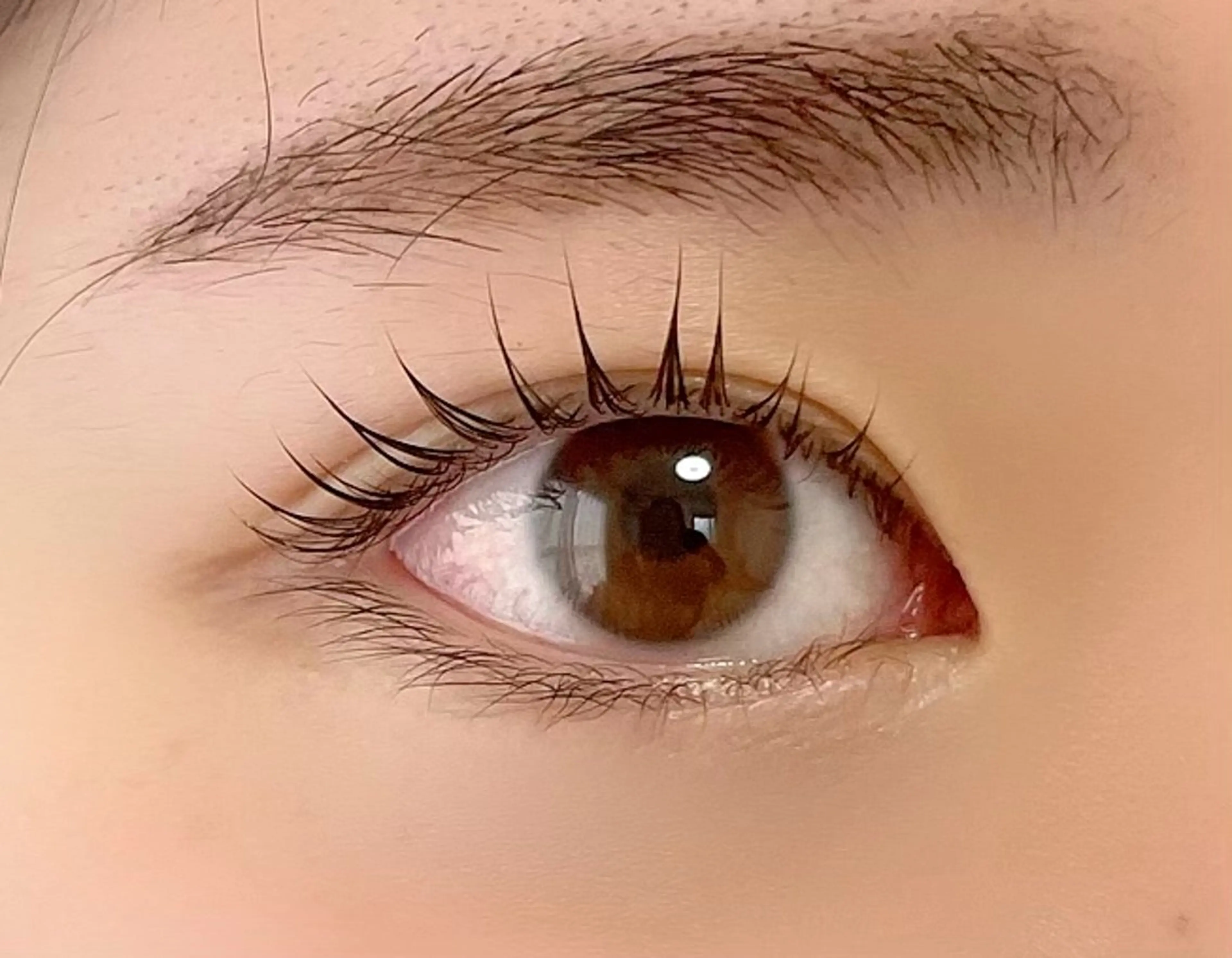 ⭐︎ミニモ限定☆ラッシュリフト（上まつげ）通常¥5000→¥4500の写真