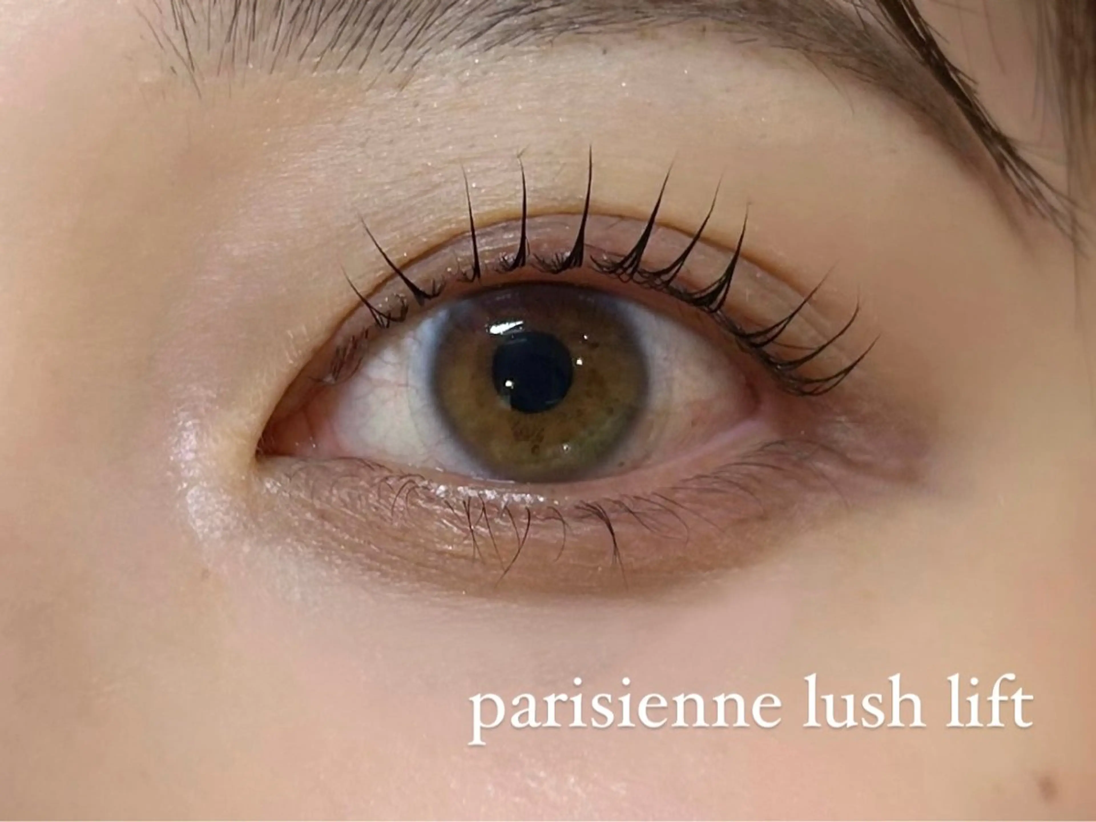 【ご新規様限定】パリジェンヌラッシュリフト🫧高級束感コーティング付き🎀根本からぱっちり立ち上げます🤍の写真