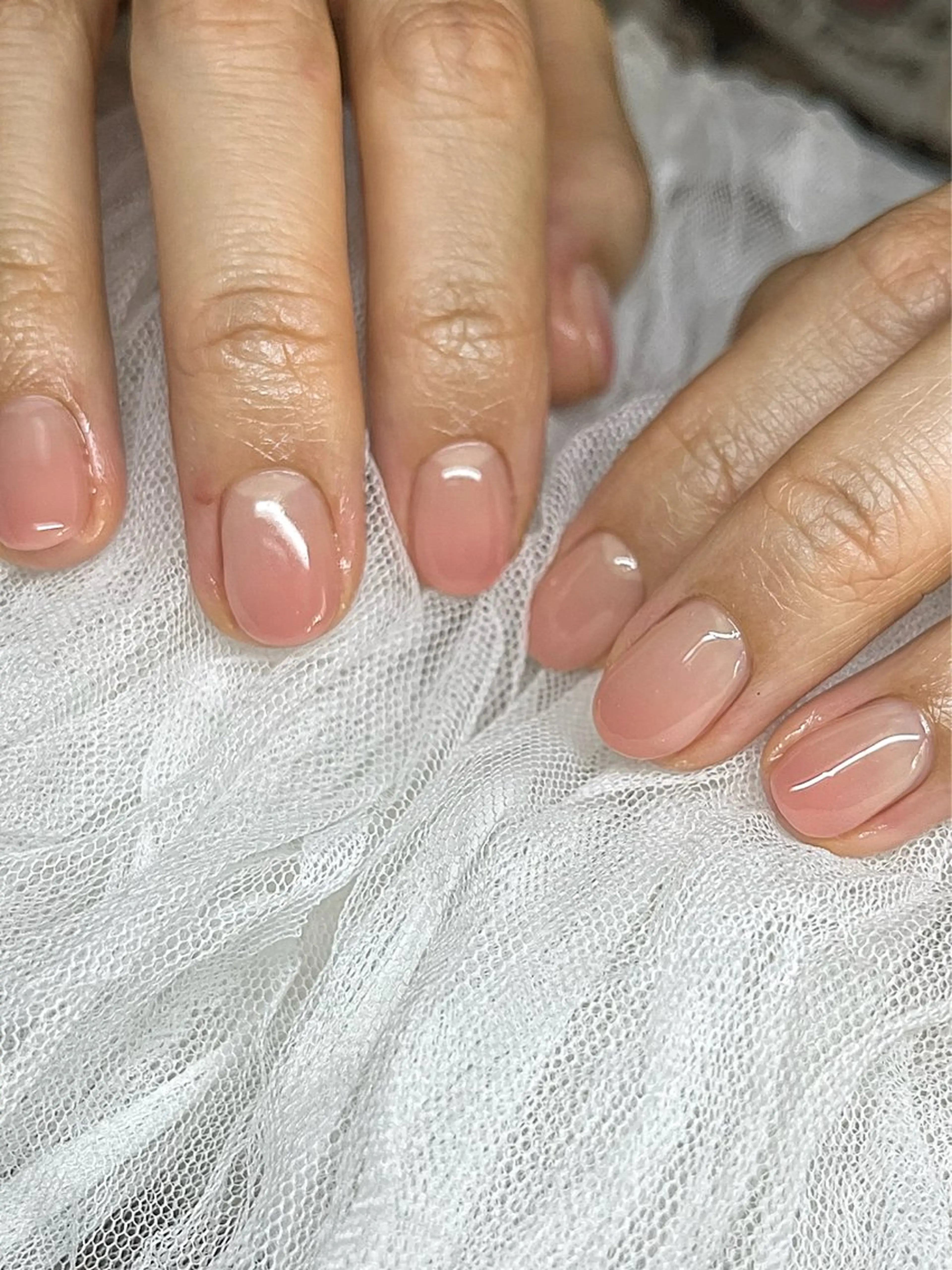 🆕ワンカラー/グラデーション ¥4000の写真