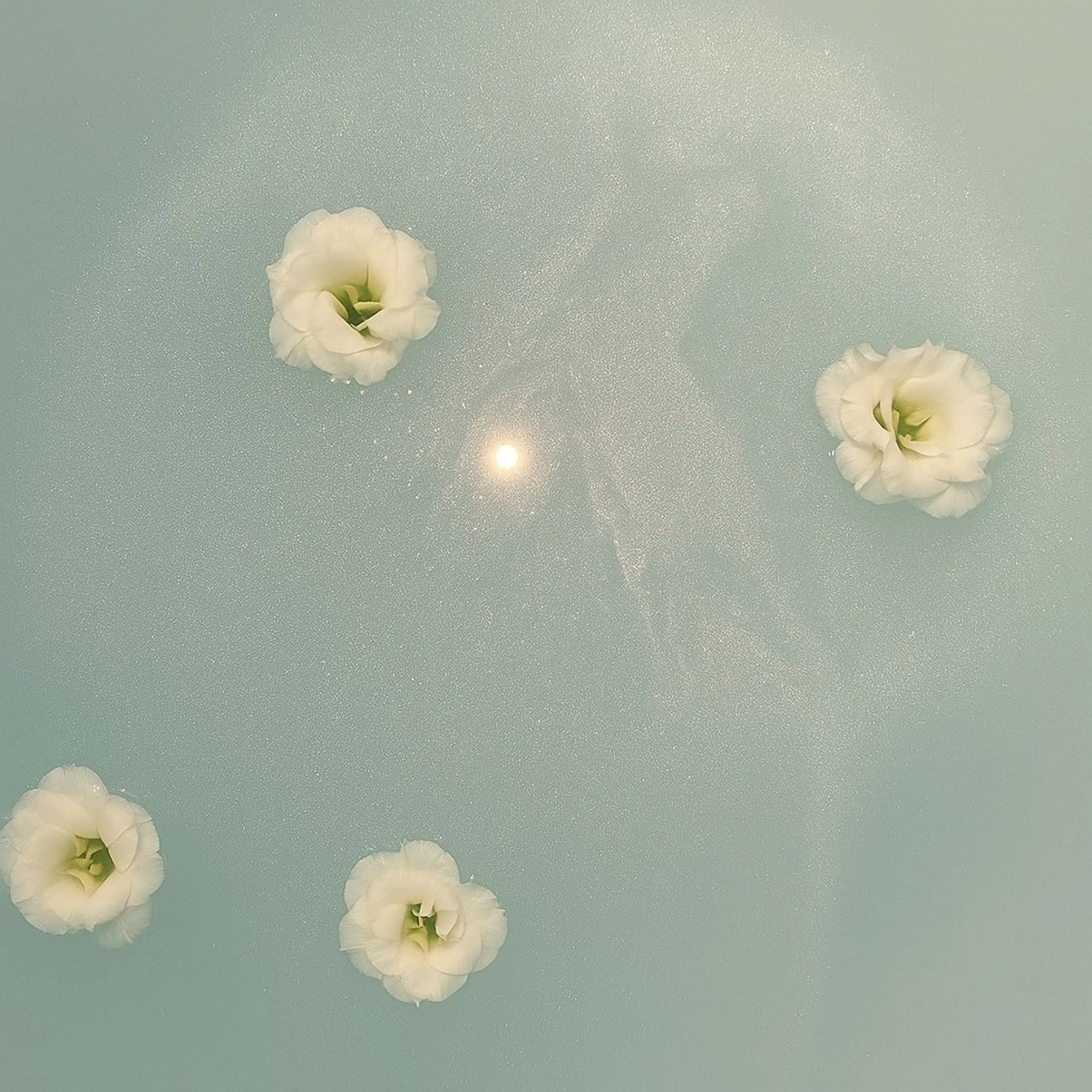 メンズ 🦋MaaZlash 南流山FUKA🤍のマツエク・マツパデザイン