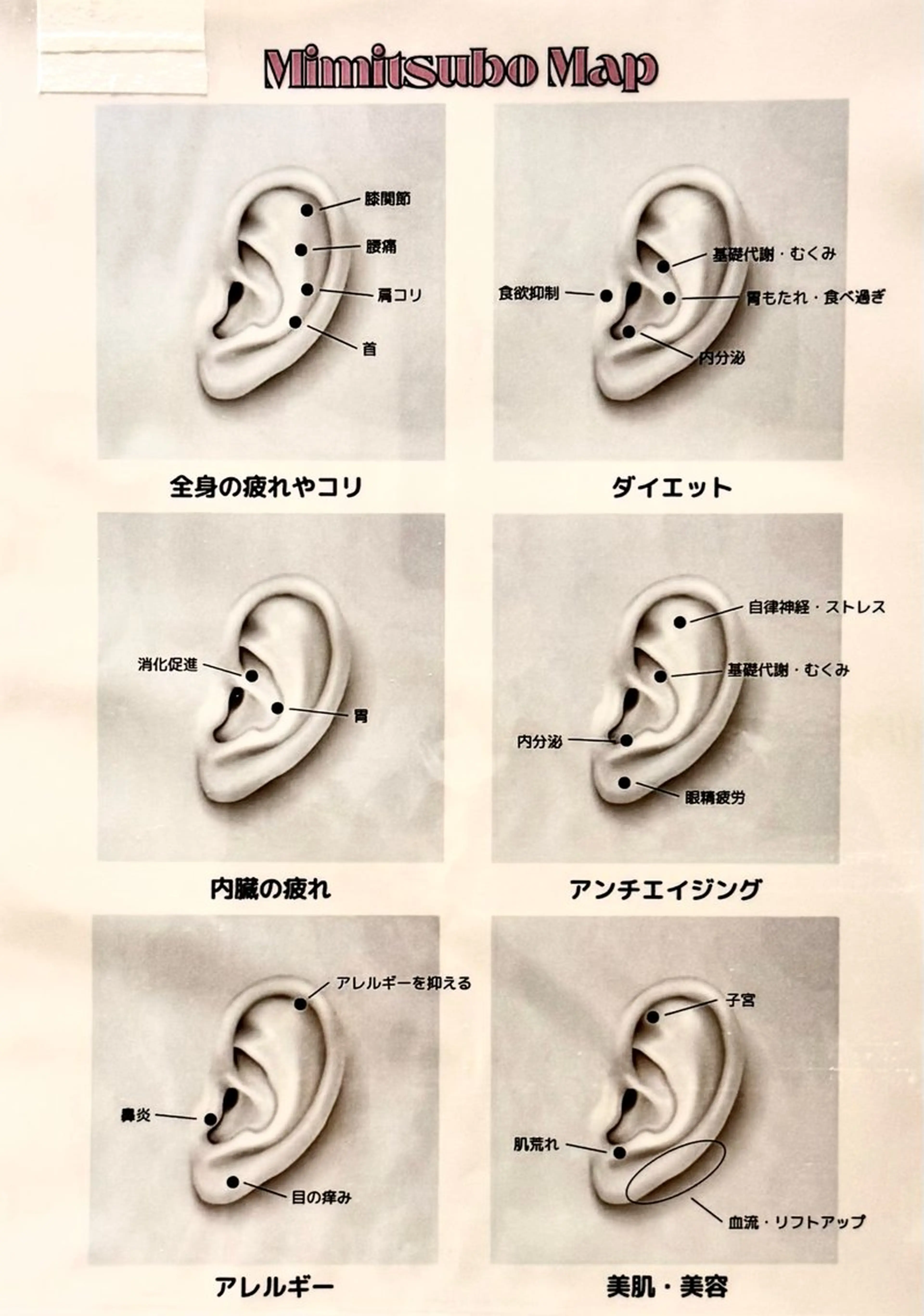 耳ツボジュエリー👂💎の写真