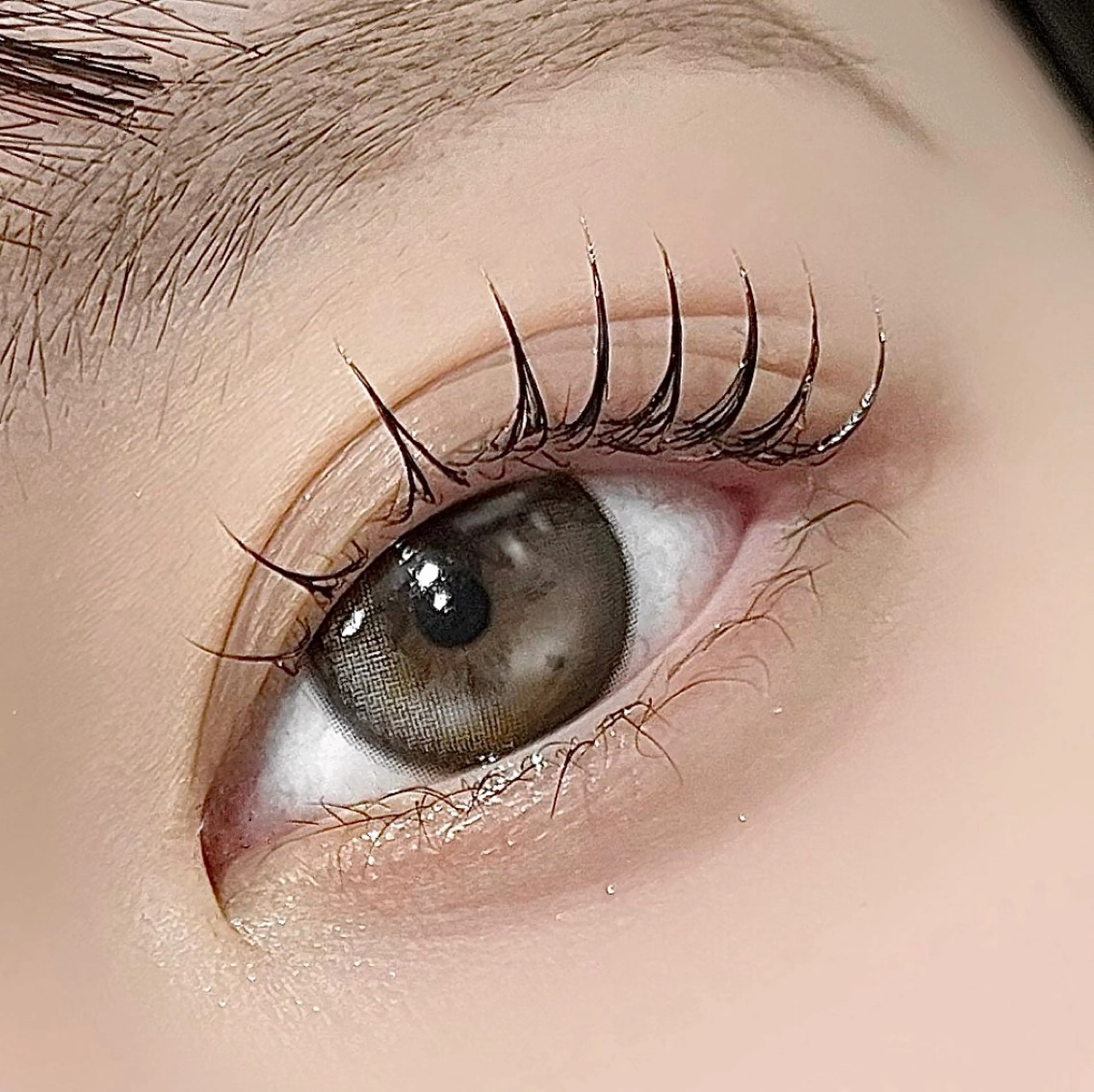 マツエク・マツパ マツパ 韓国束感まつげ｜ MANAMI🧸のマツエク・マツパデザイン