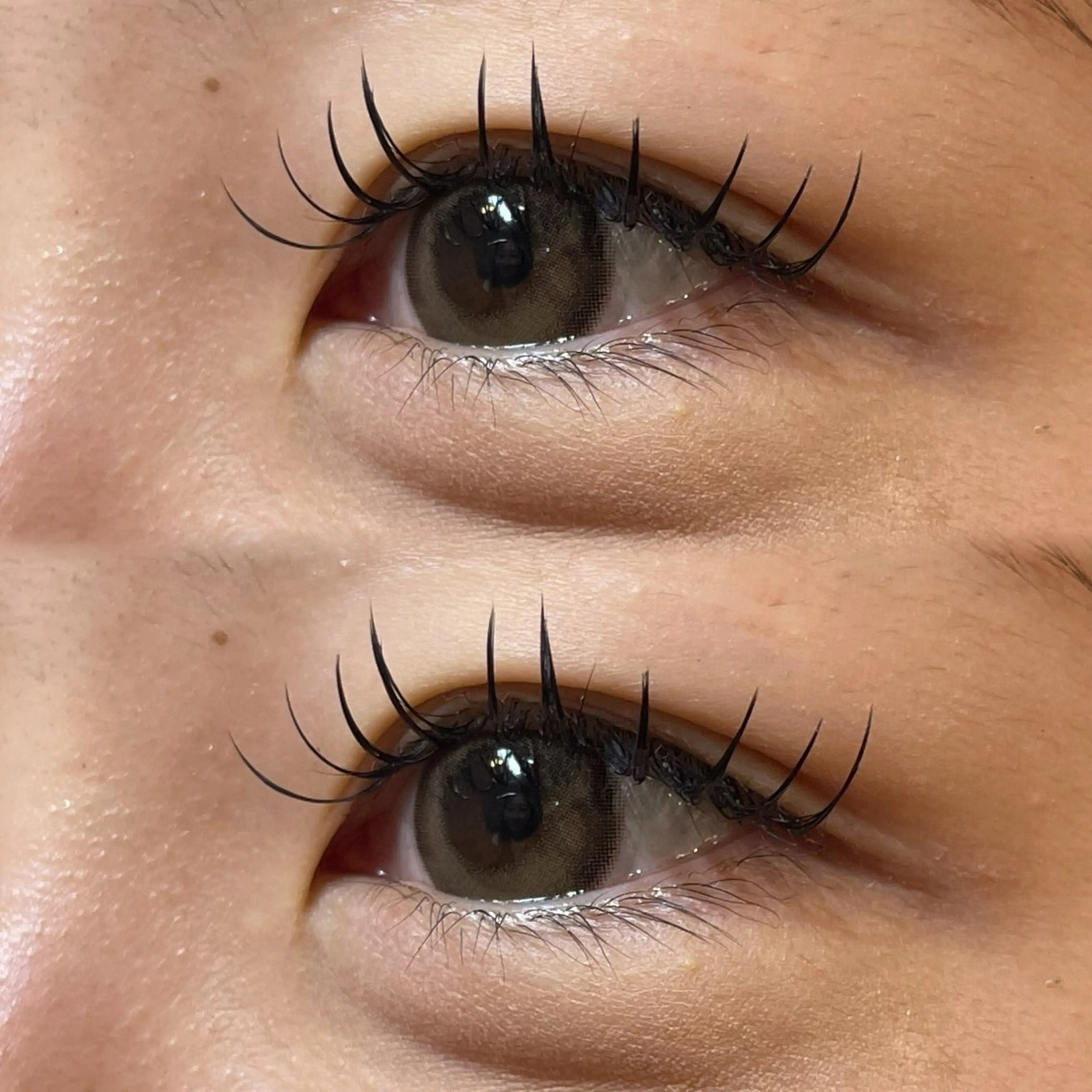 年末セール大感謝祭‼️オフありフラットラッシュ120本仕上げコーティング付きの写真