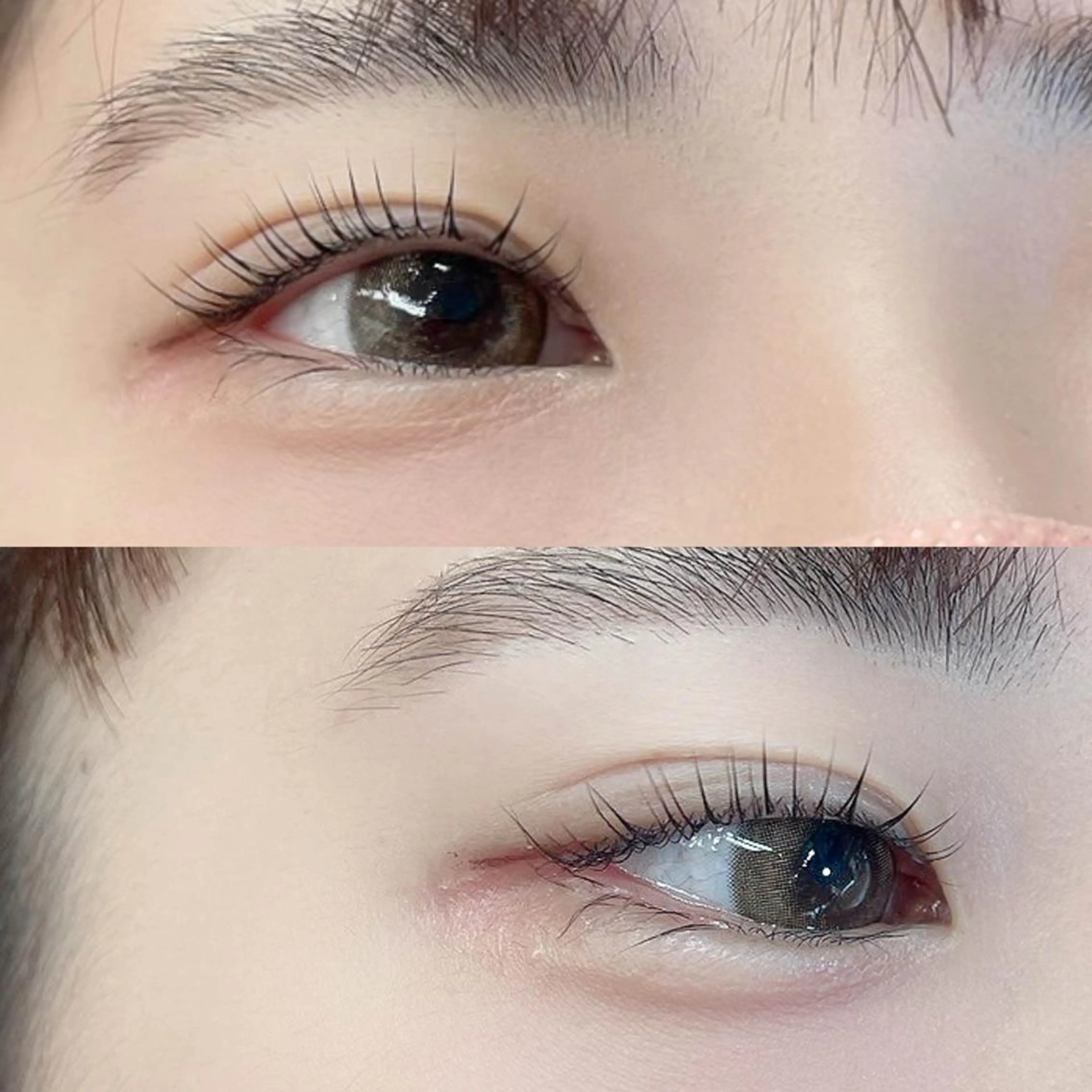 マツエク・マツパ Dカール まつげパーマ専門店 シャルナ　上野店のマツエク・マツパデザイン