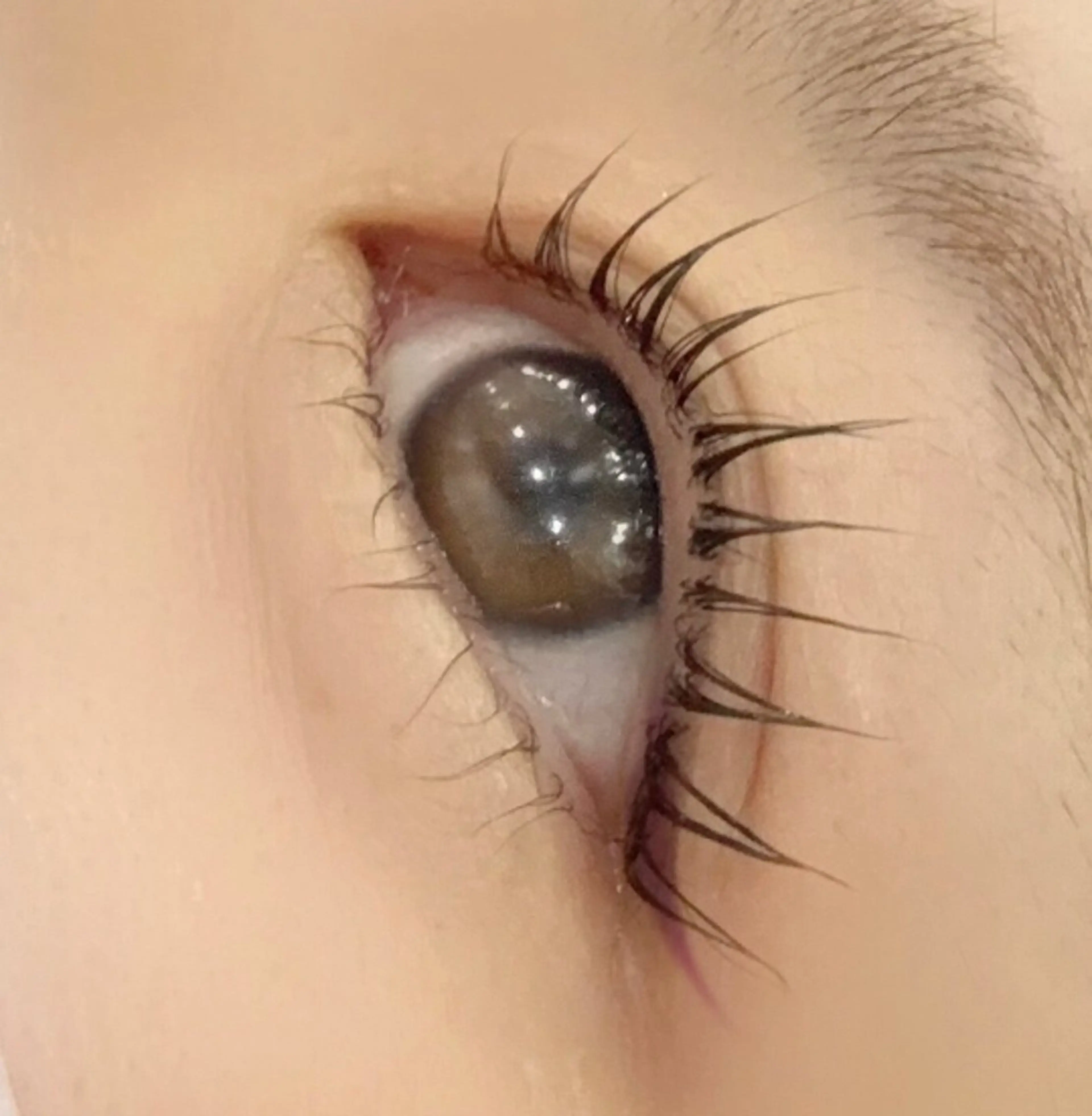 マツエク・マツパ マツパ 🌹ブリランテ🌹 大人気店のマツエク・マツパデザイン