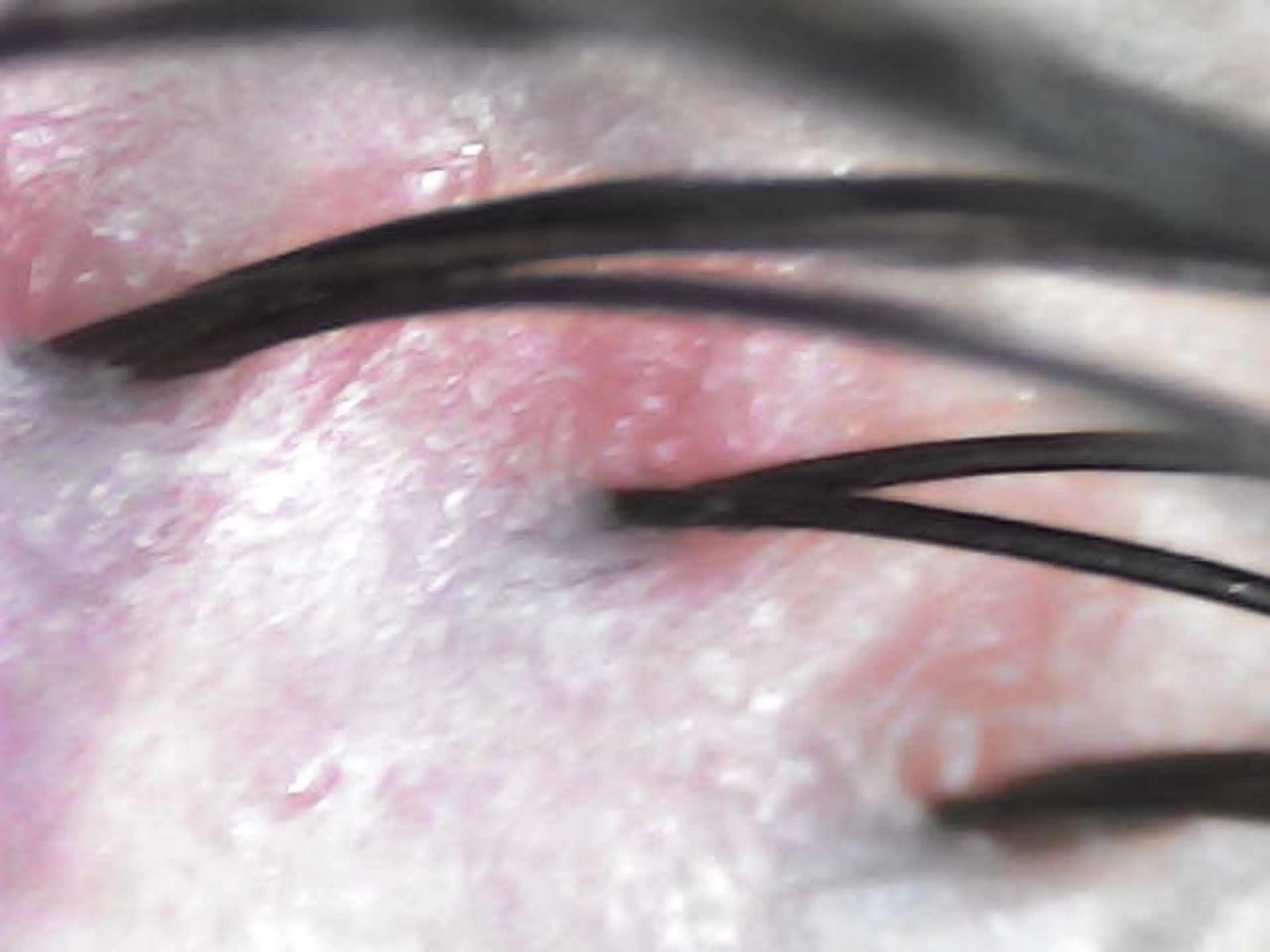 ヘッドスパ salowin 郡山店所属・中畑 莉菜のヘアスタイル