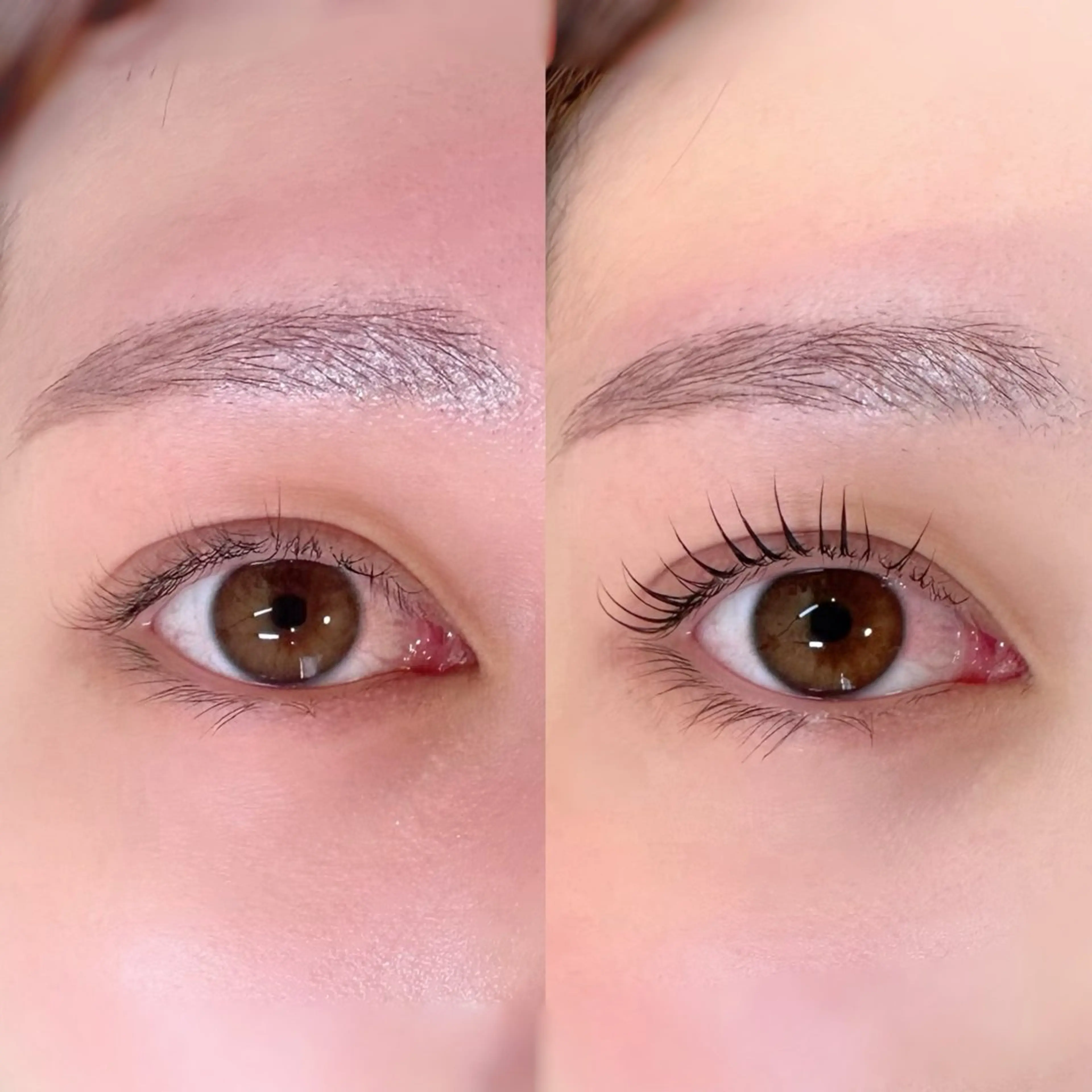 マツエク・マツパ Lys. kichijojiのマツエク・マツパデザイン