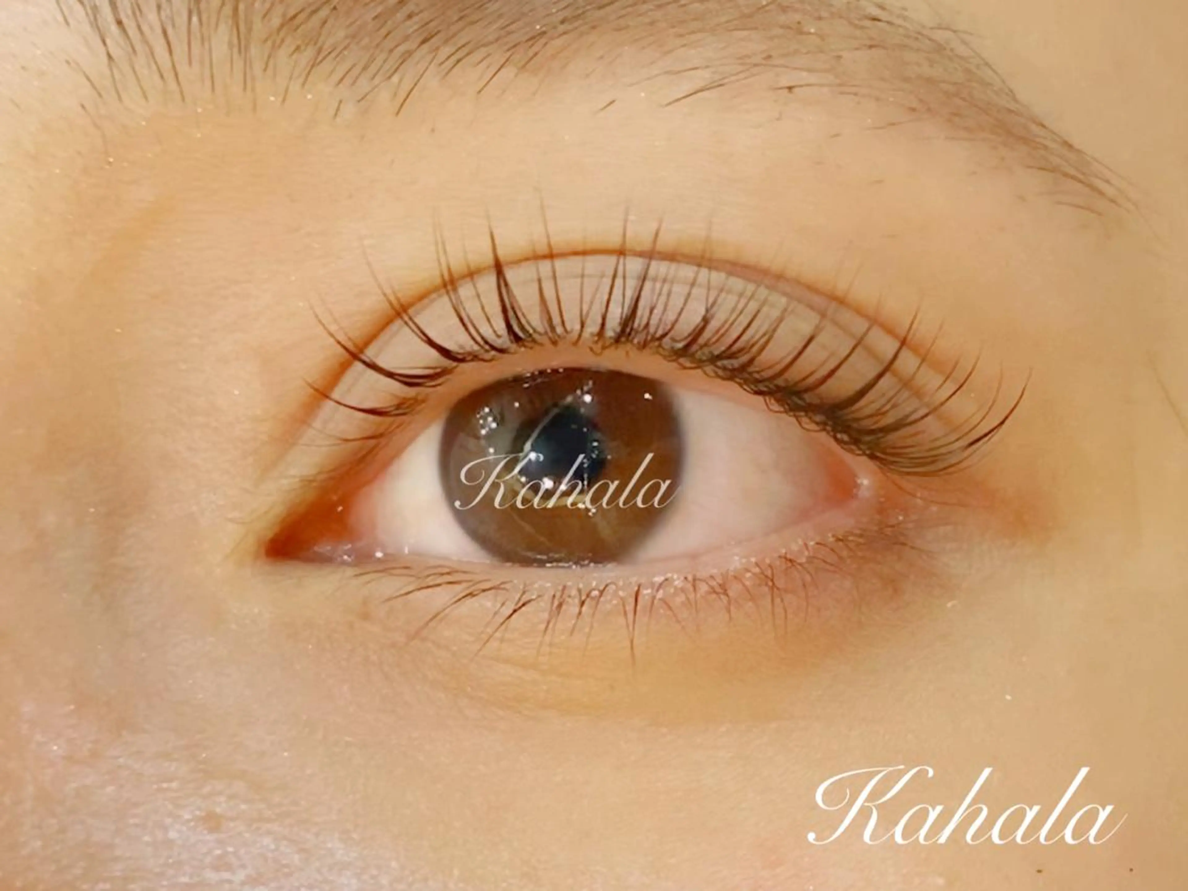 マツエク・マツパ アイラッシュリゾートカハラ新宿本店所属・Kahala KOMADAのマツエク・マツパデザイン