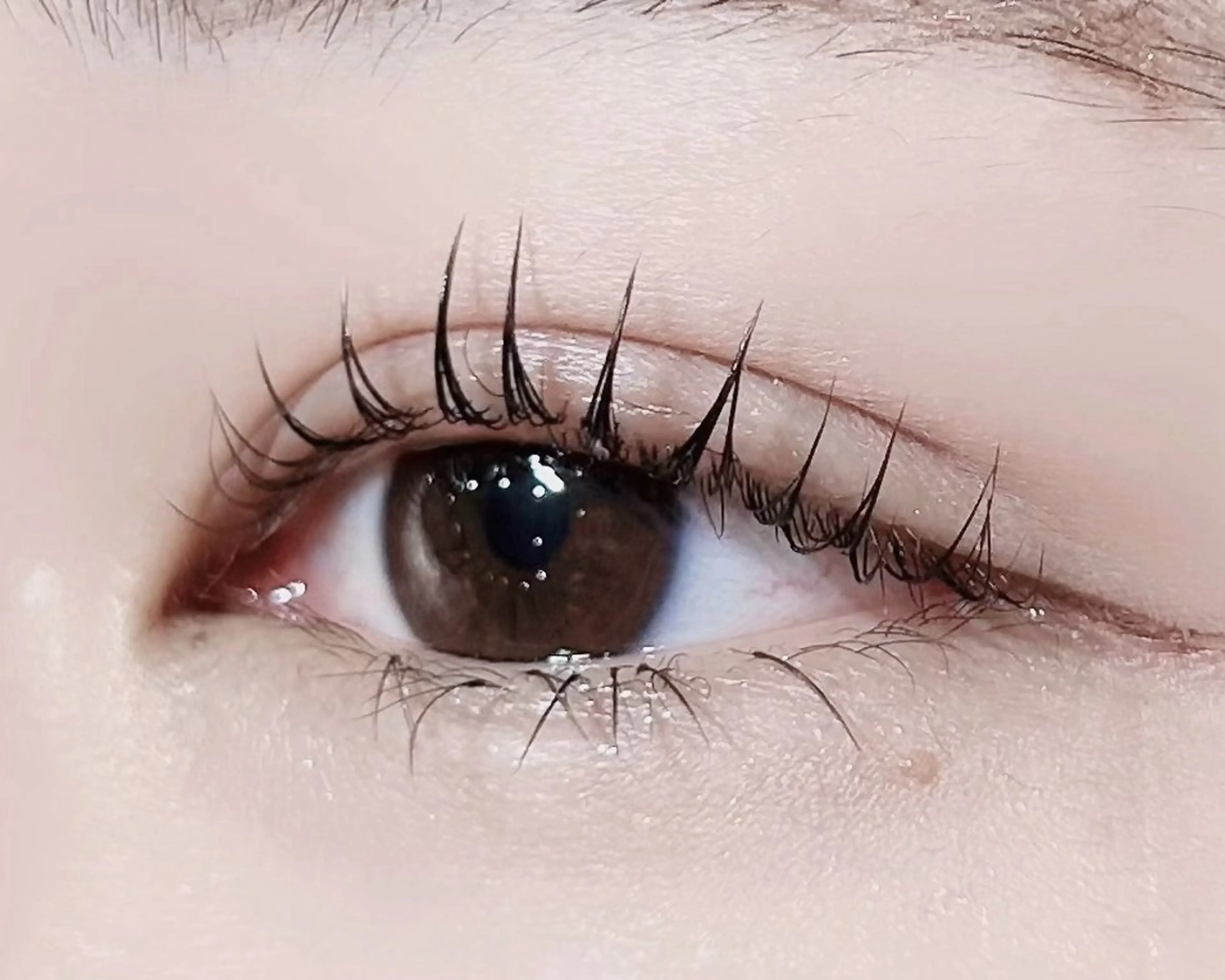 マツエク・マツパ パリジェンヌラッシュリフト まつ毛と眉毛の専門店 Beautrip 天神今泉店所属・yui.y ⠀のマツエク・マツパデザイン